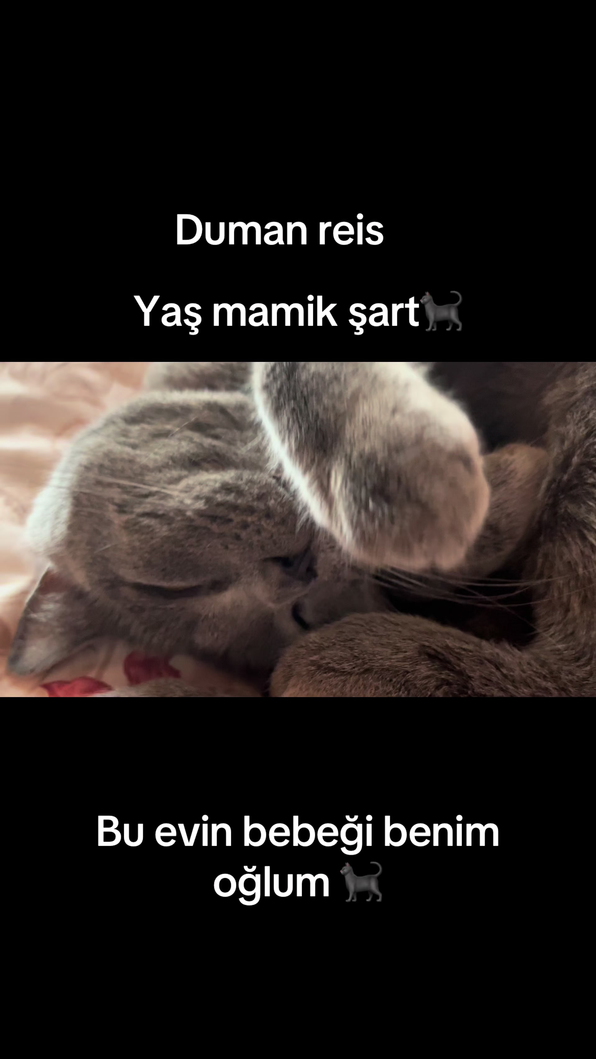 @Nilüfer Kandemir 👸