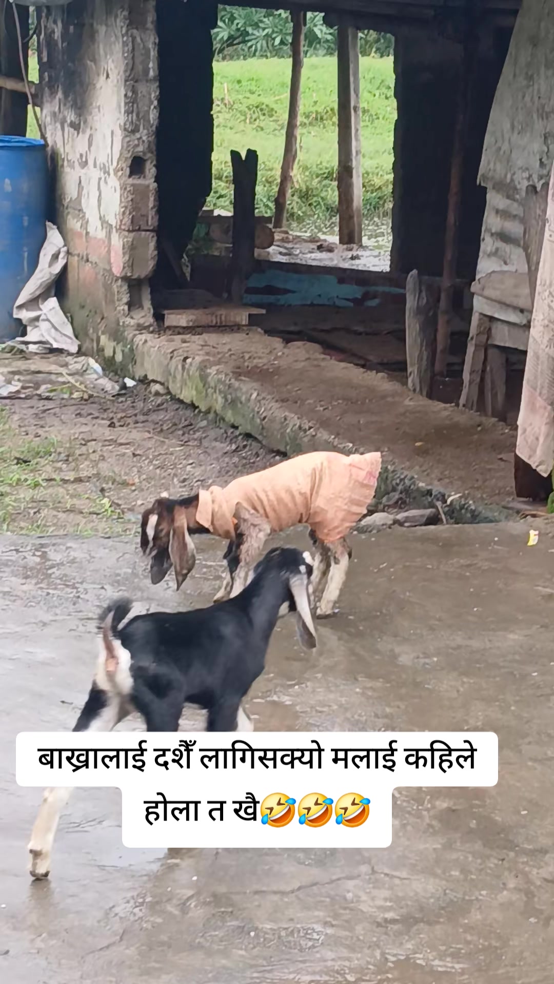 @deepa thapa magar