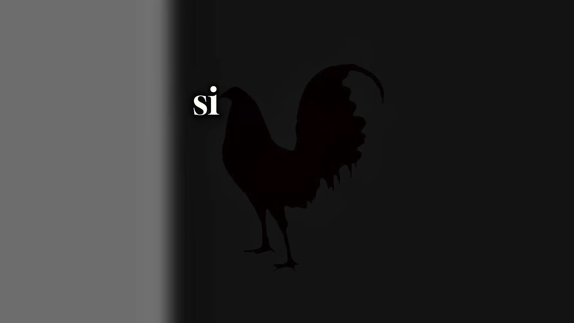 @๐๐๐๐๐ ๐๐๐๐๐ ๐ถ