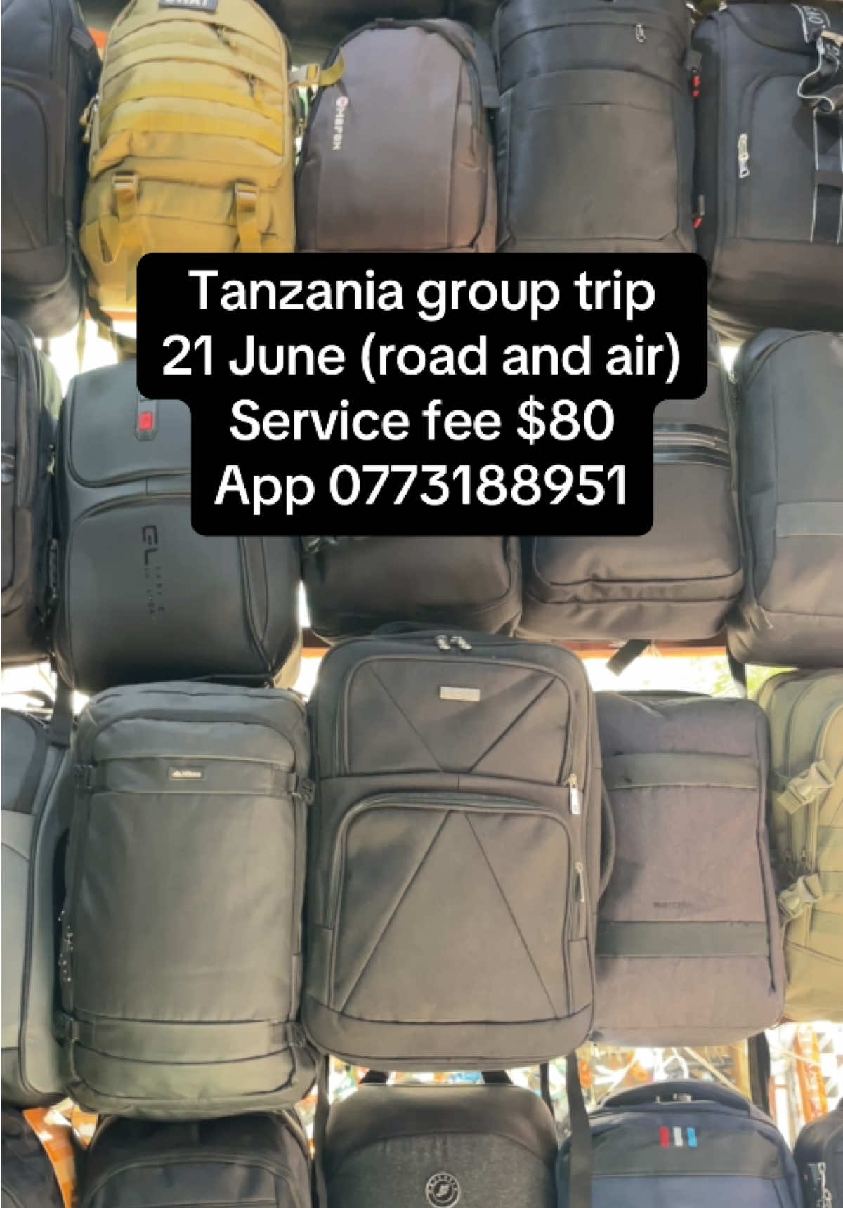 @GAUDENCIA🇿🇼🇧🇼🇿🇲🇿🇦🇹🇿