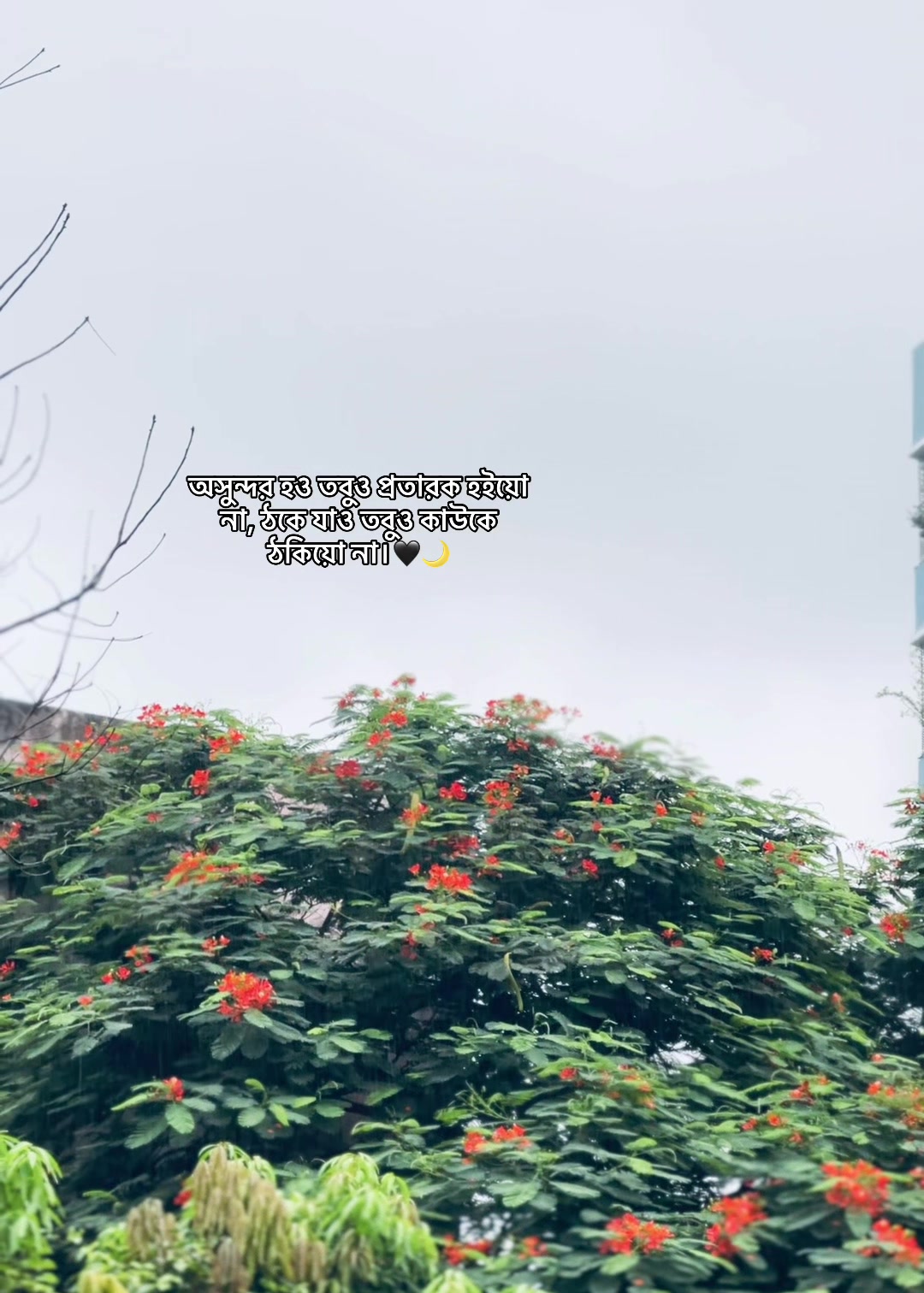 @đ đ đ đ đĨ đ¤đī¸