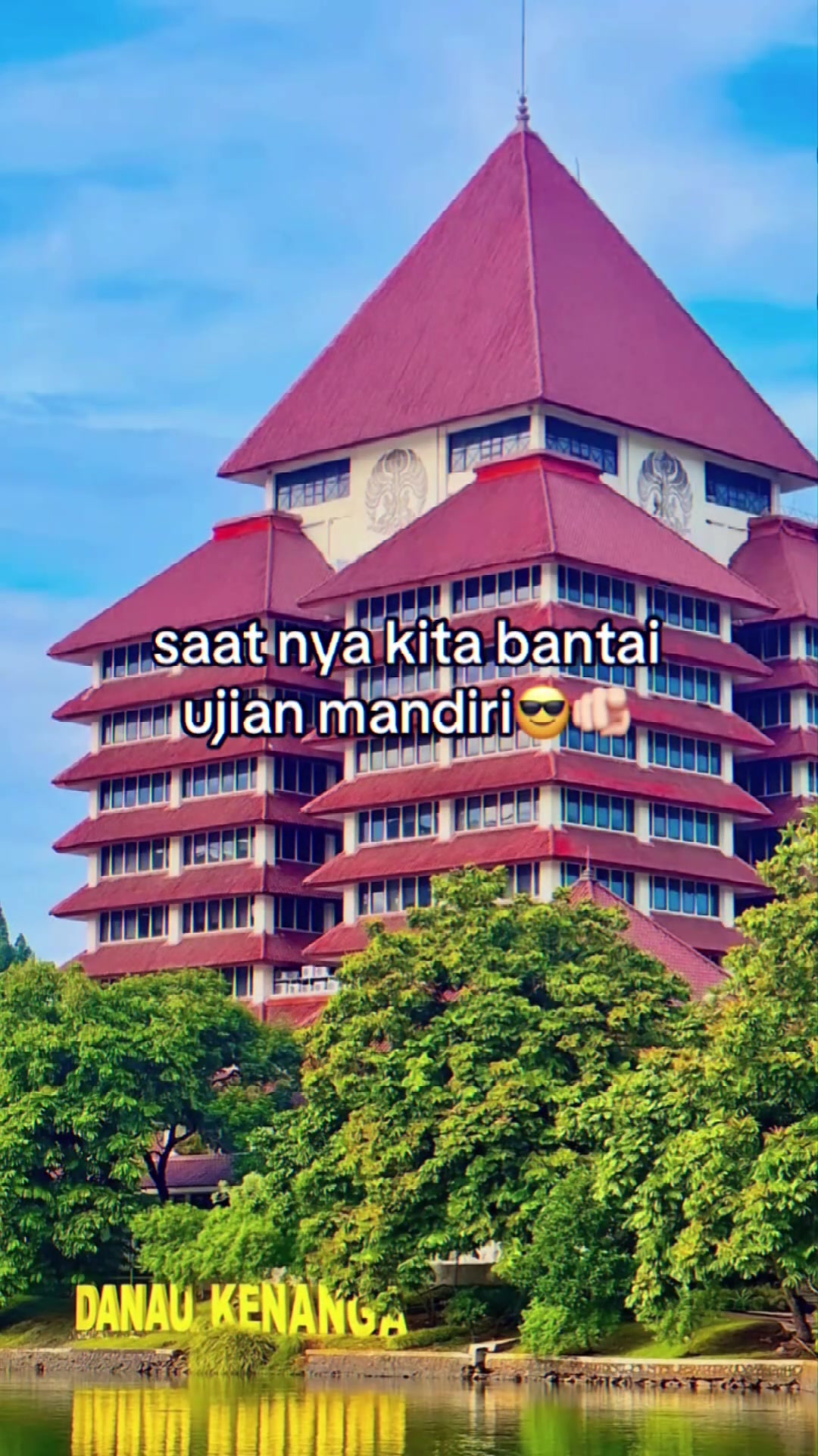 @ambis.ptn