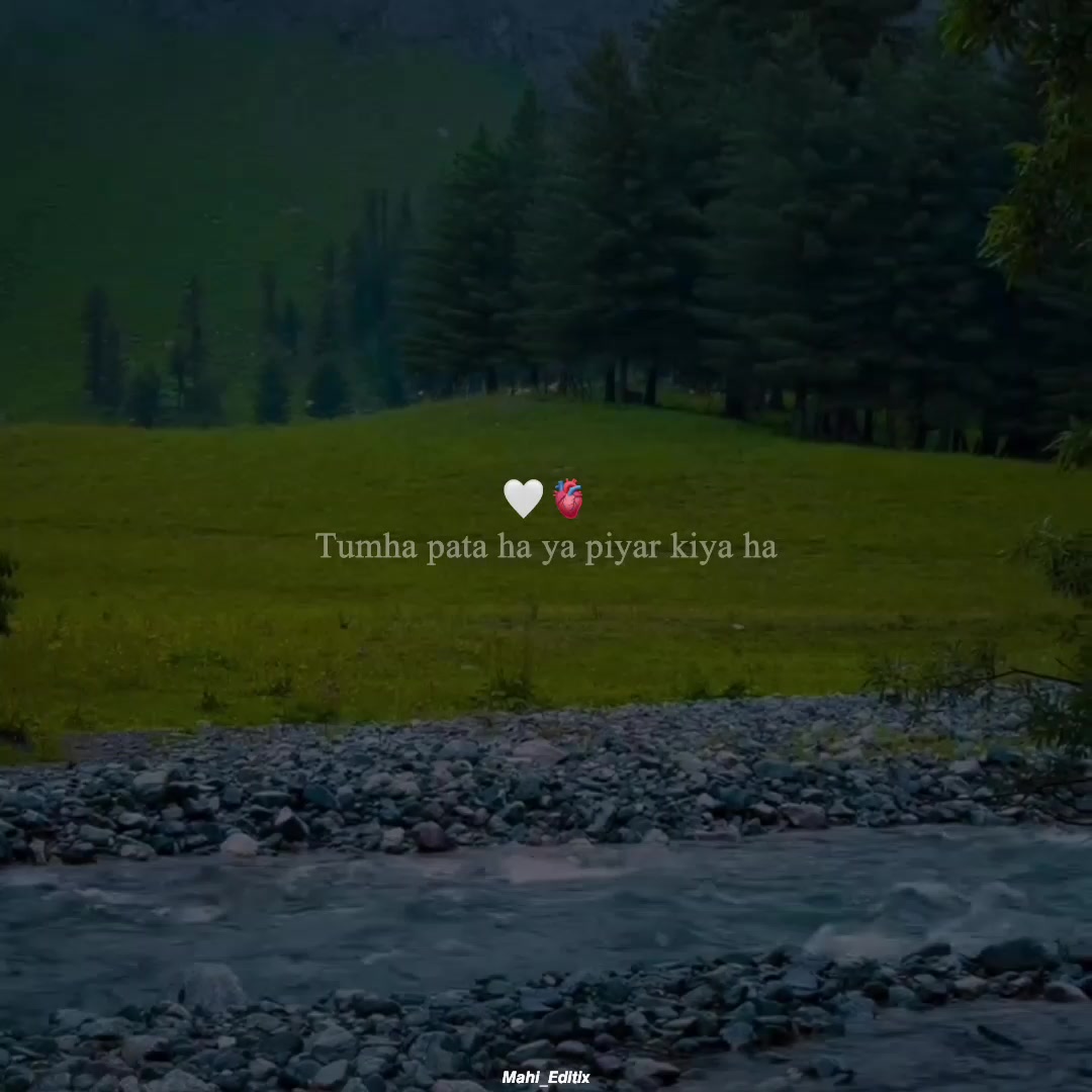 @🌻