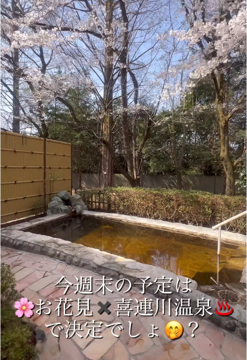 @山口あや