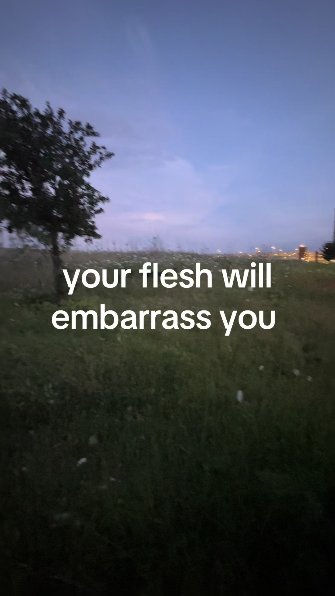 @guppy