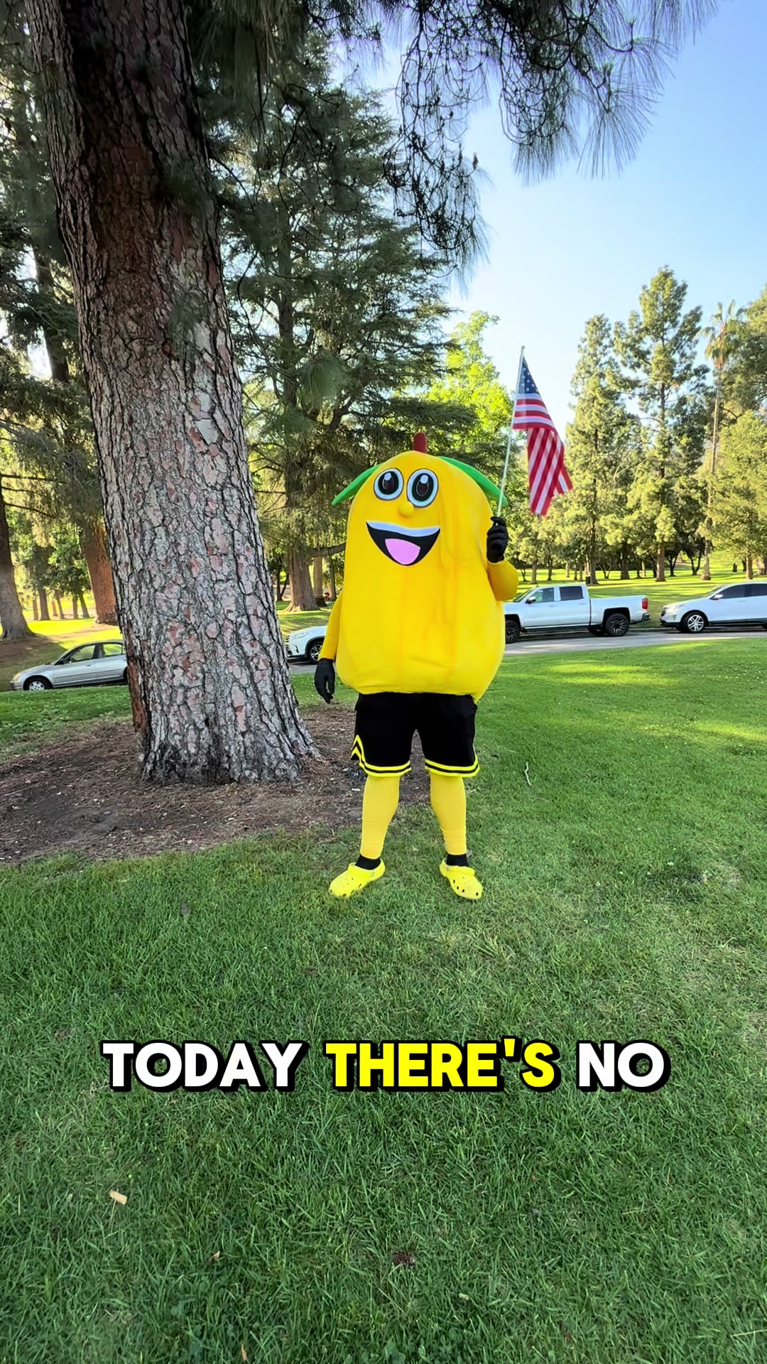 @Sour-Puss