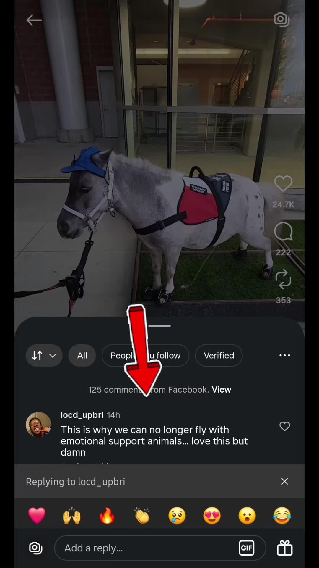 @minihorsemomandtrainer🐴🐴🐴🐴