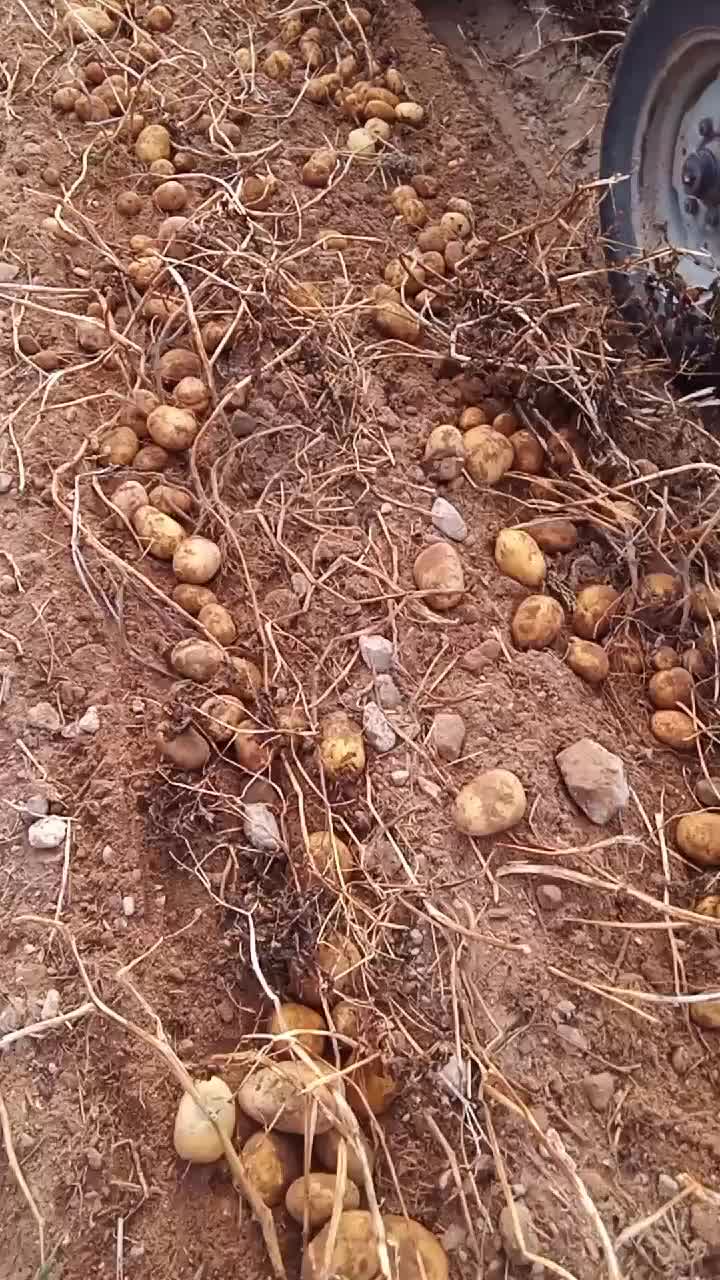 @kayaahmet50