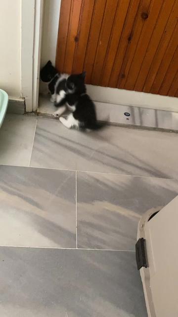 @Bilgen Yılmaz