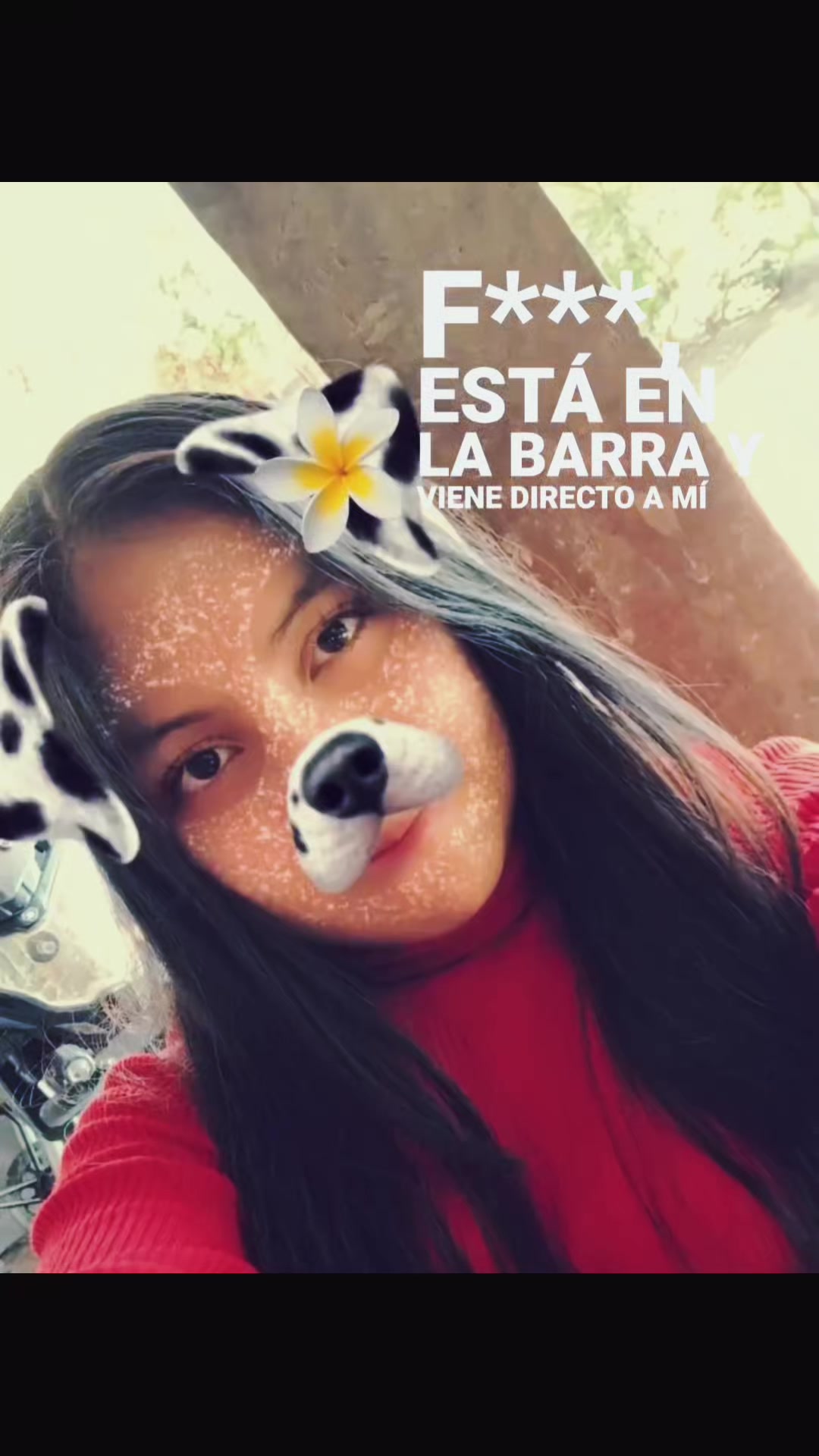 @༄–.᭄✿ʀᴏᴅʀíɢᴜᴇᴢ࿐💗