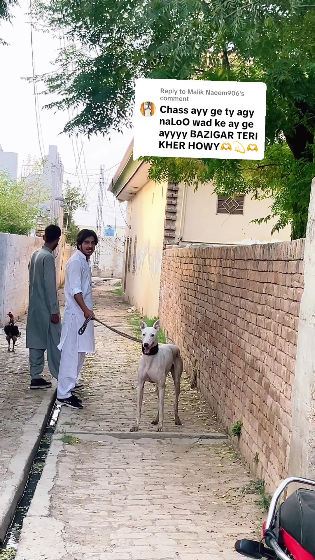 @چوہدری  حمزہ گجر🐾