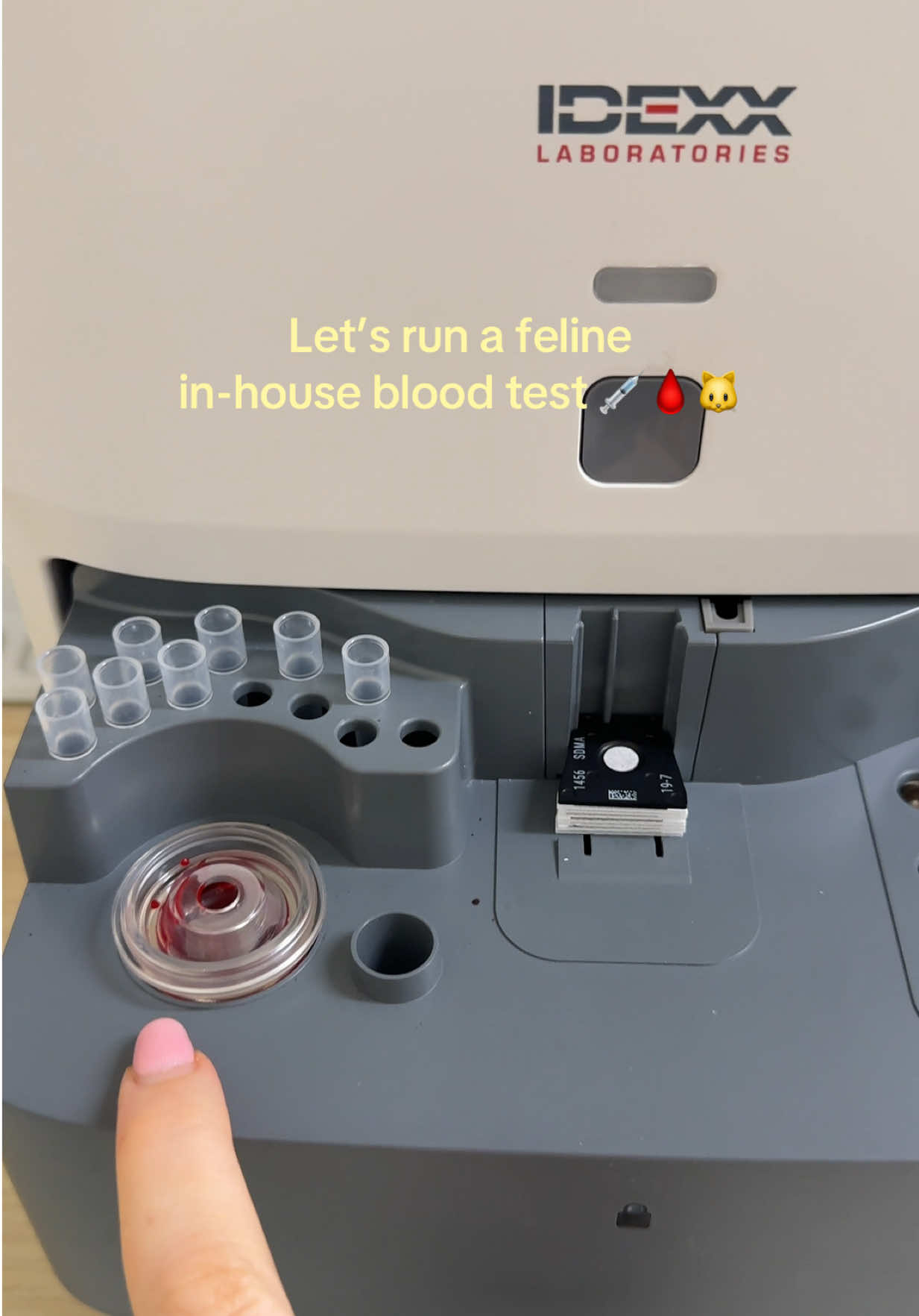 @Tess the Vet Nurse