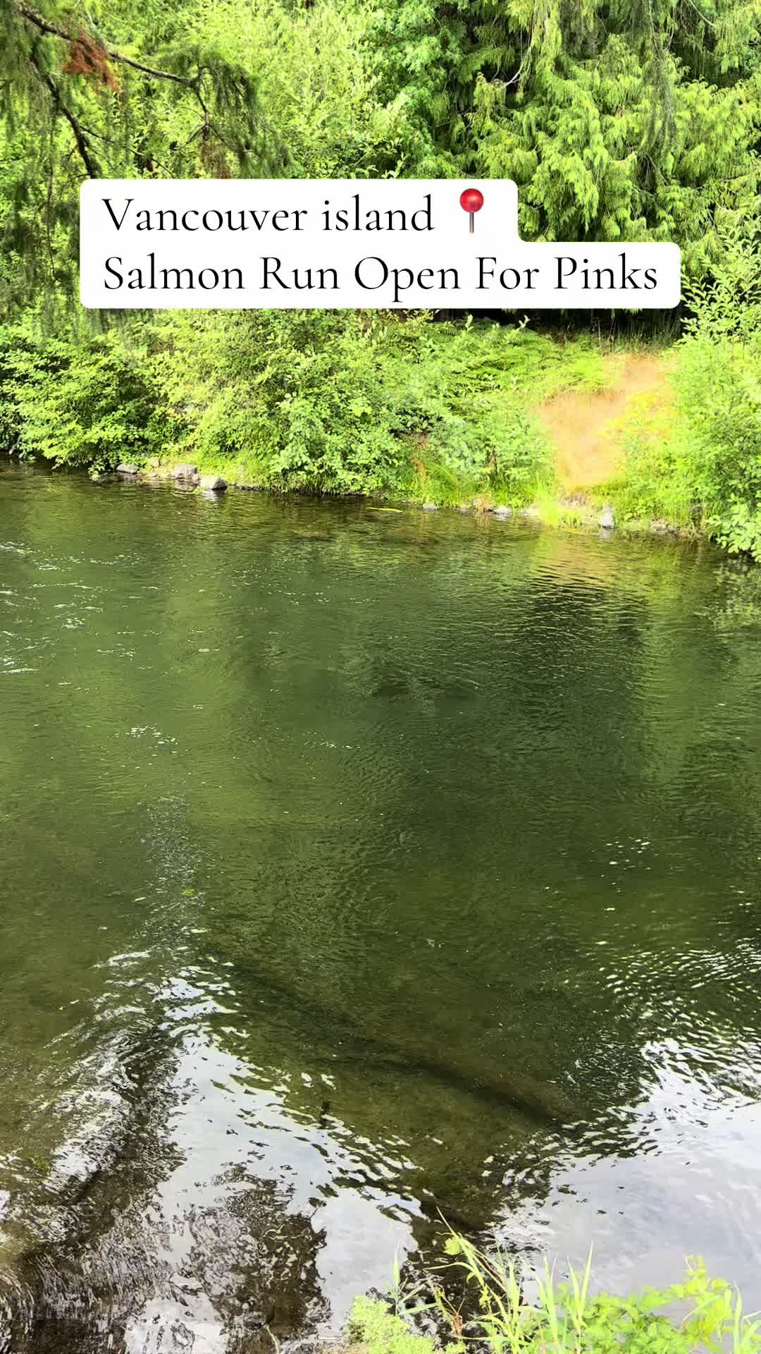 @FishingThe(250)