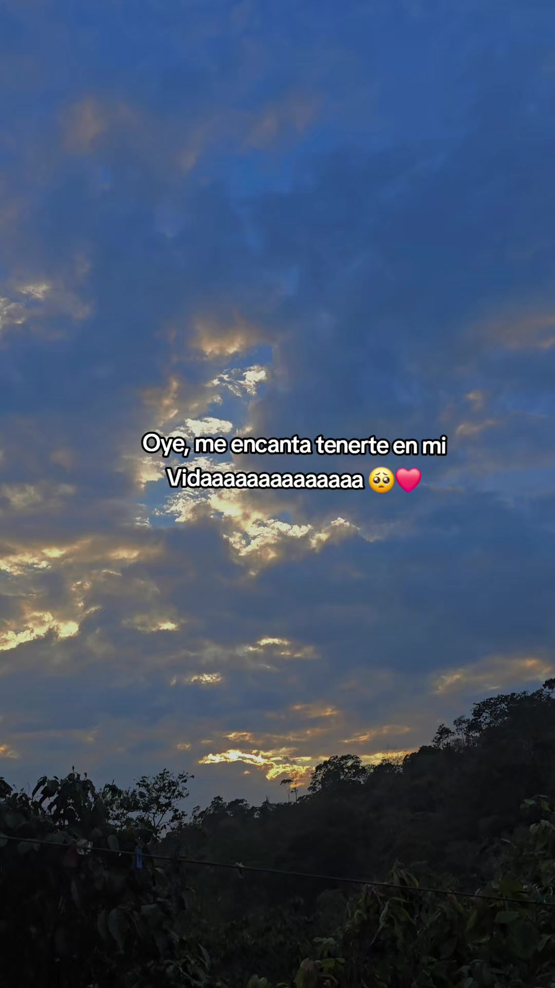 @♡Perez♡