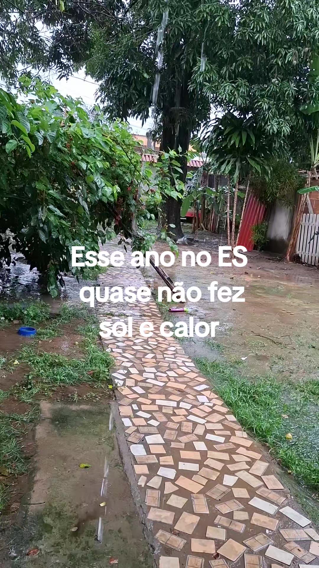 @Tropa da Fatinha🐶🐱🐎...