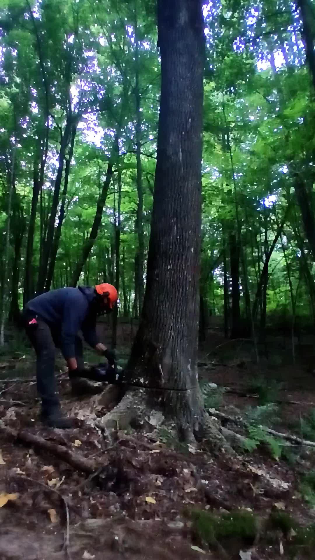 @JoeyLogger