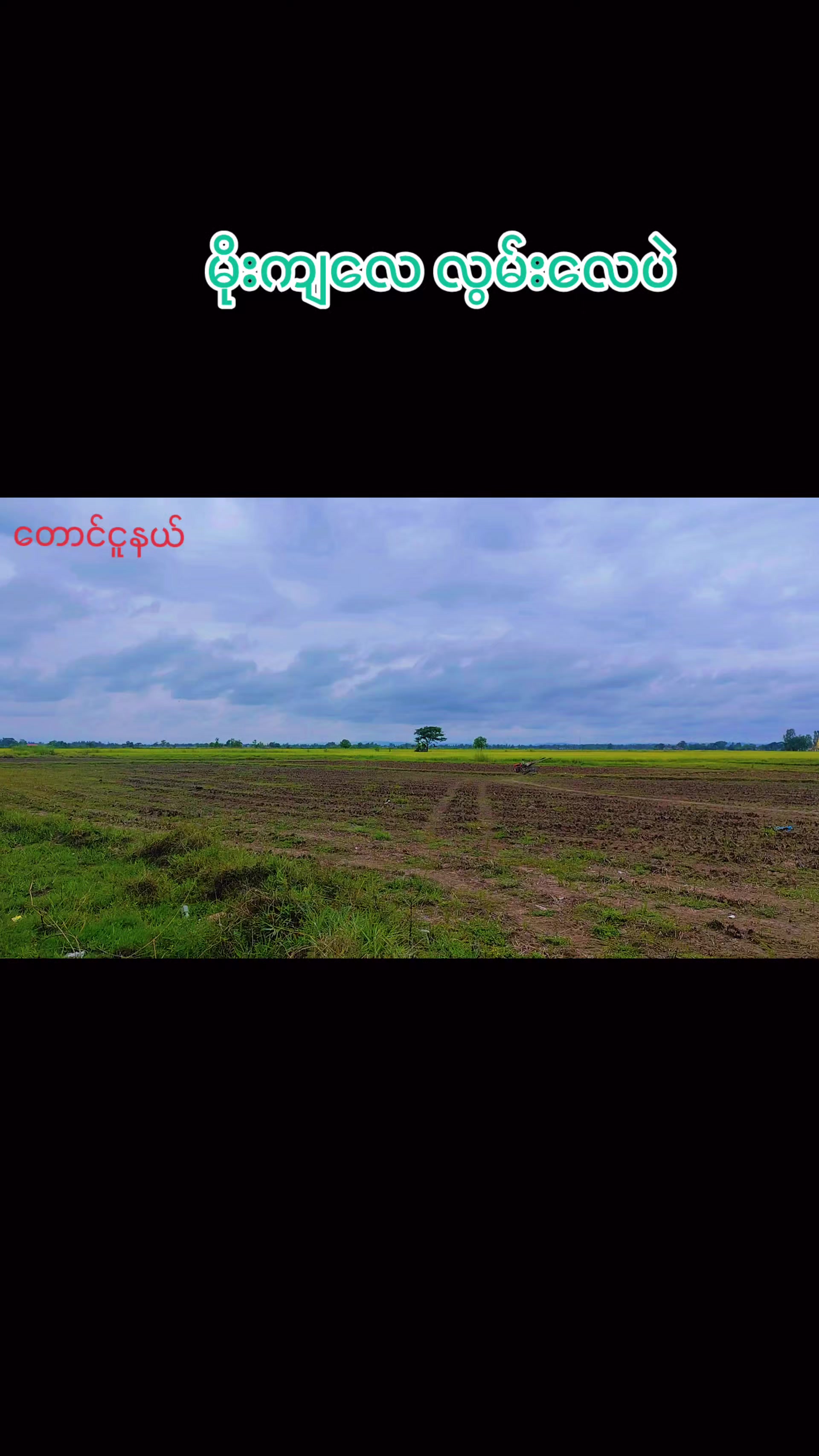 @🇲🇲နောင်လေး🇲🇲 ( TAUNGOO )