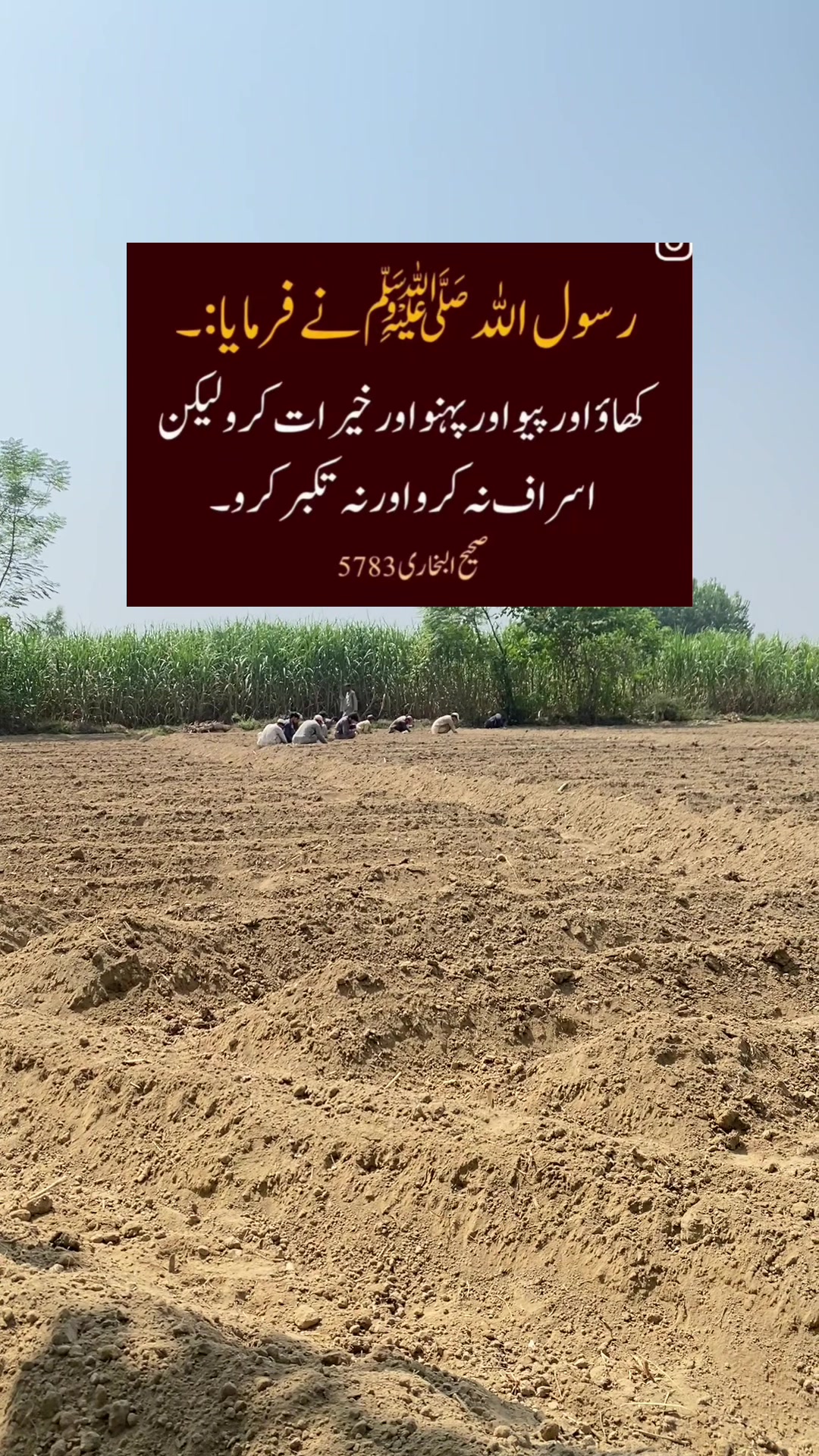 @𝐅𝐚𝐳𝐥𝐢 𝐌𝐚𝐮𝐥𝐚 🇵🇰🇵🇸