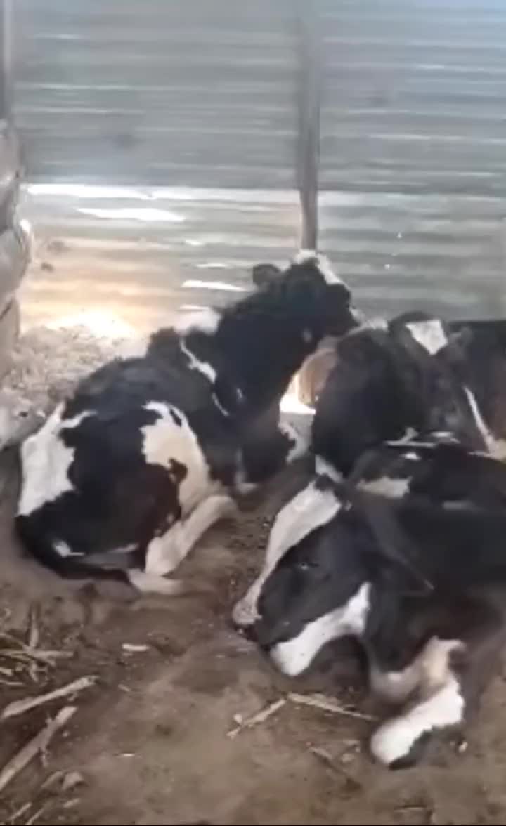@Martín1982