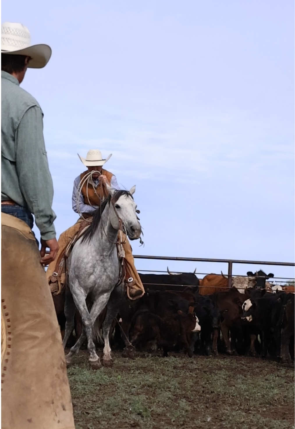 @cowgirlcommentary