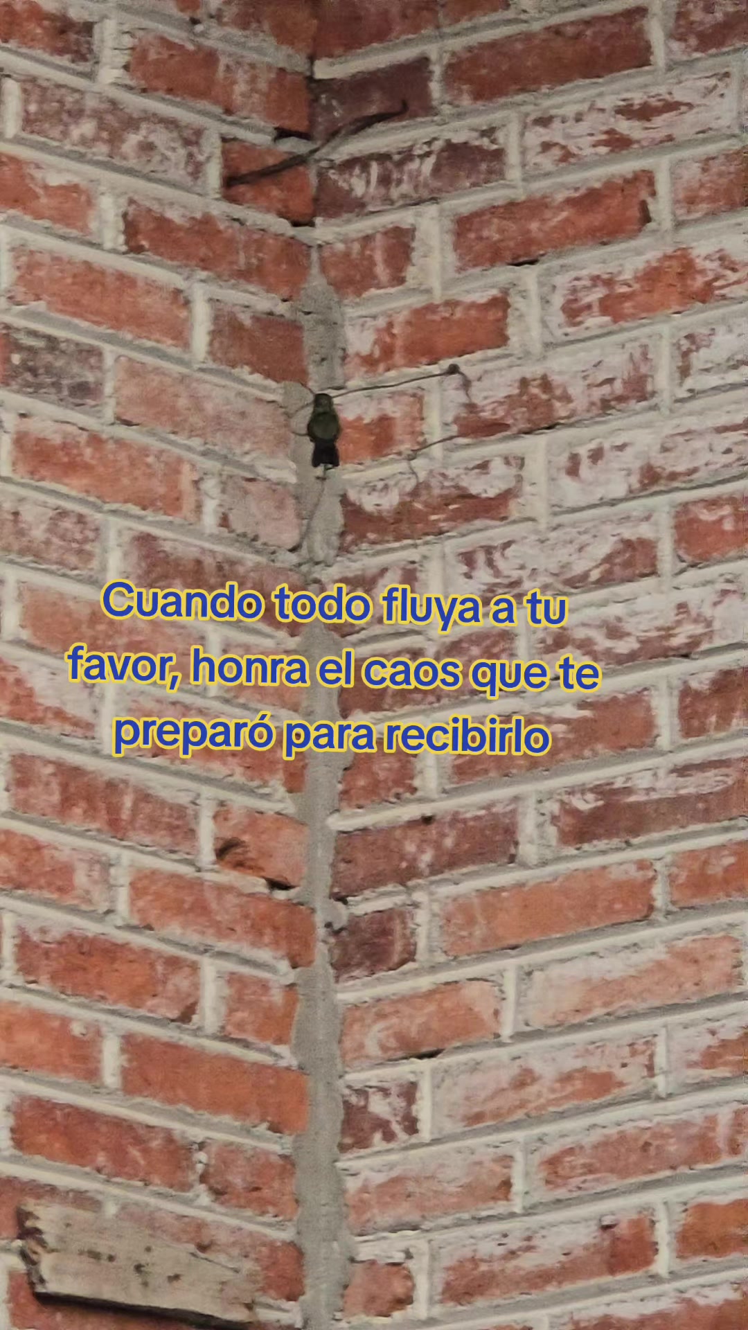 @Psic. Monica Delgadillo