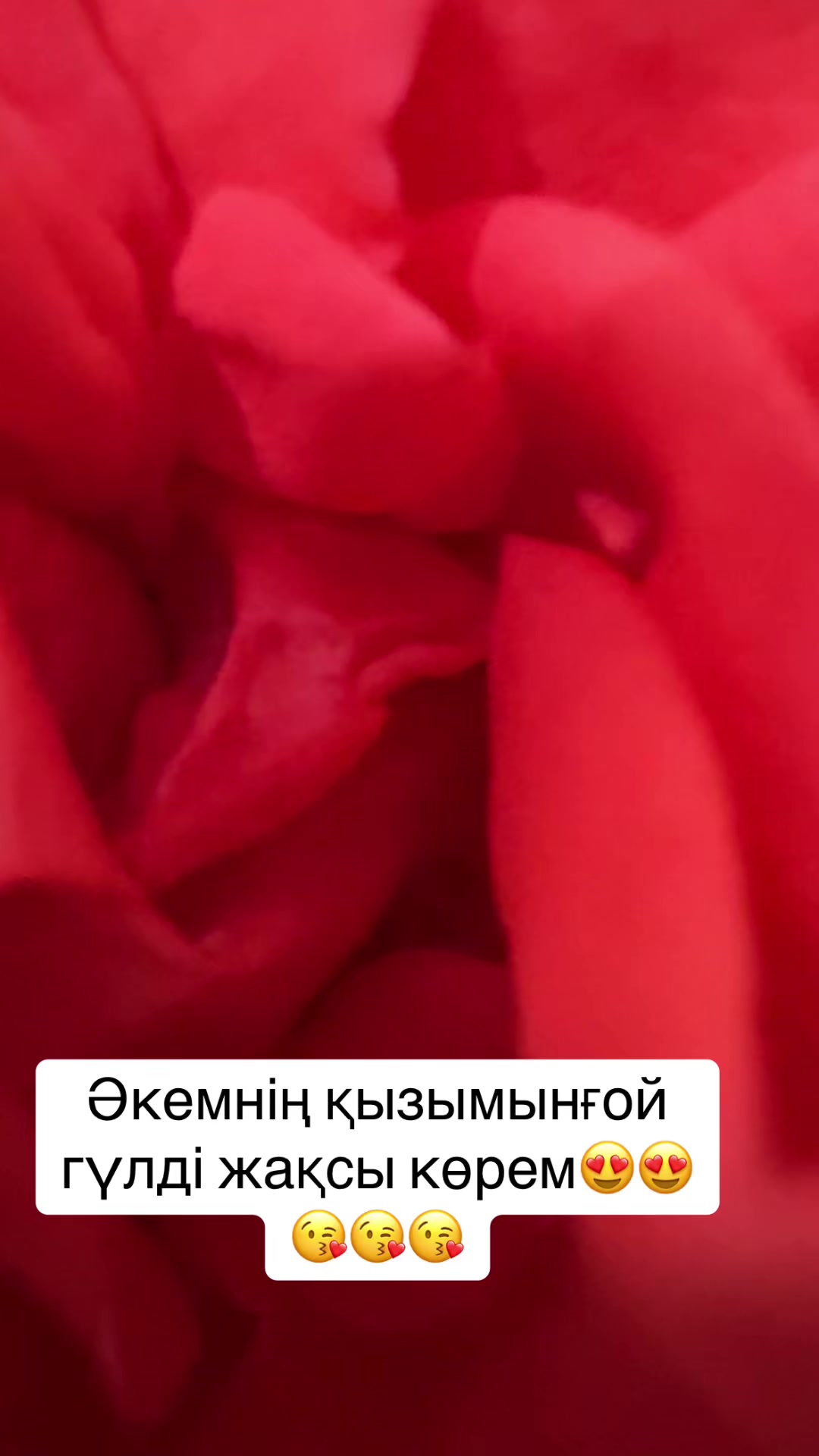 @Оразқызы Жанар