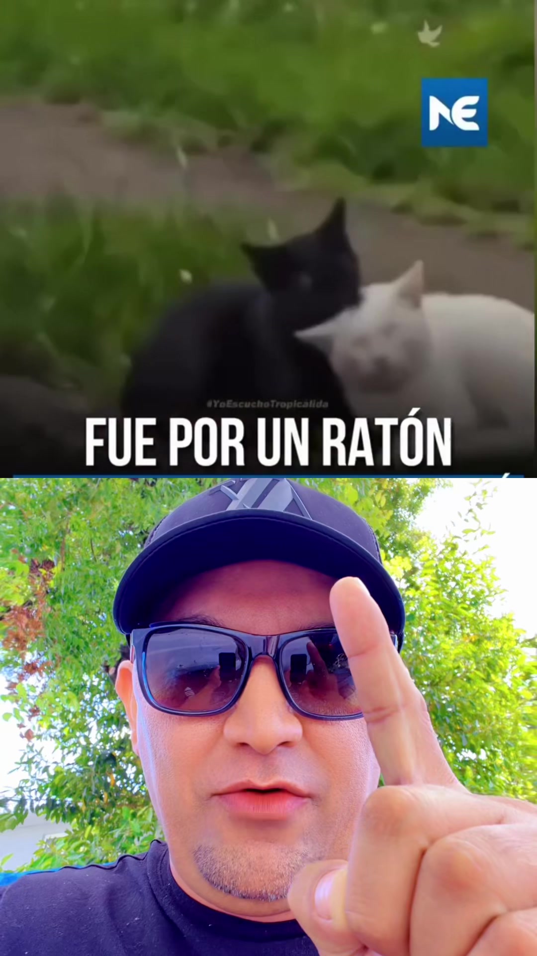 @@catracho504🤷&zwj;♂️🤷&zwj;♂️