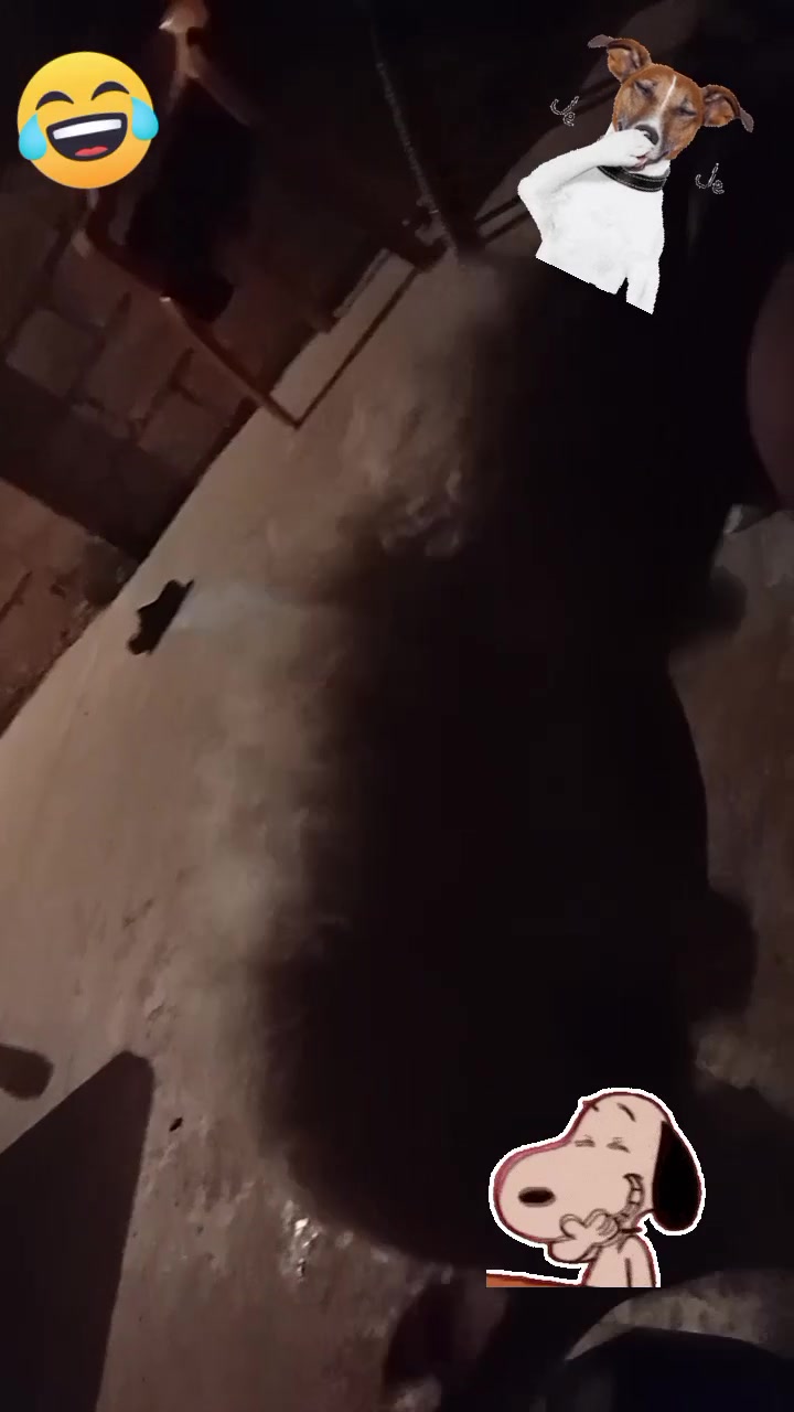 @Roxsy