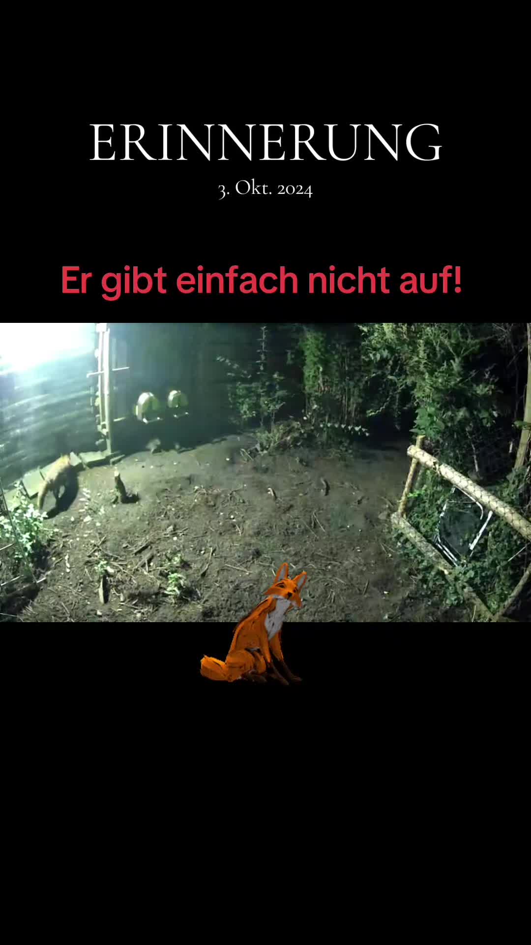 @DieSelbstvOrsorger