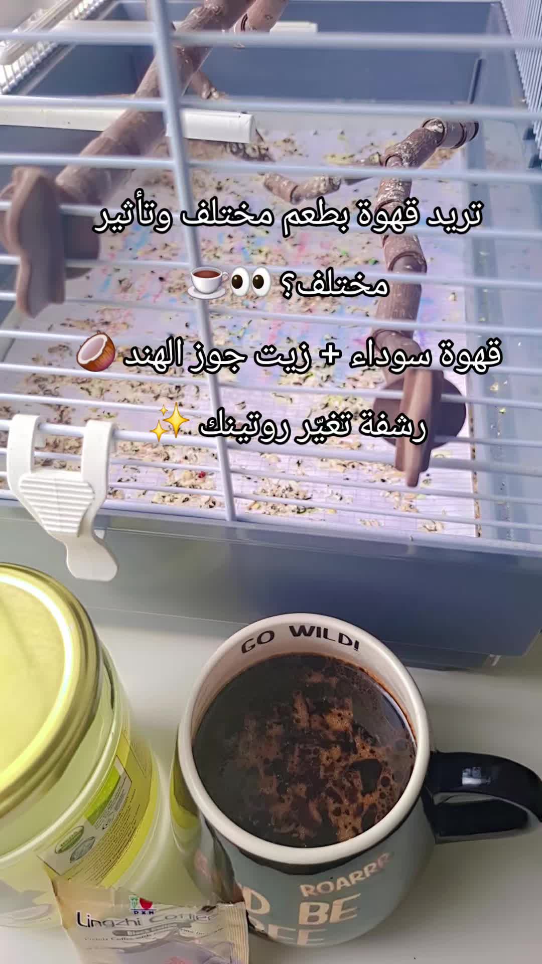@✨️Doaa✨️