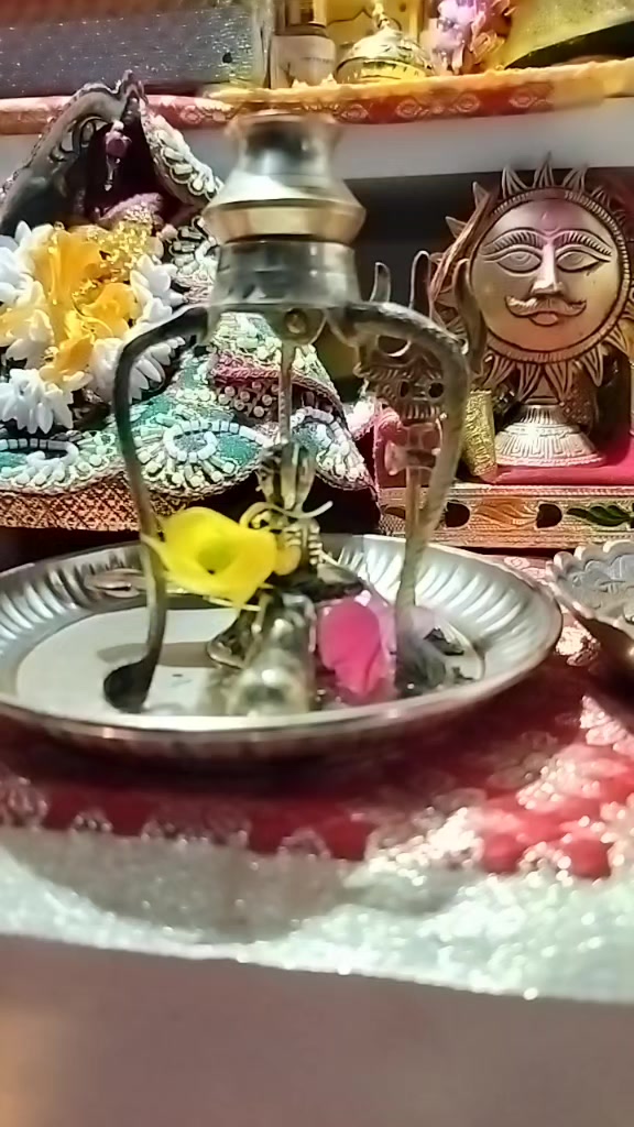 @Anjani Thakur🌻🌻