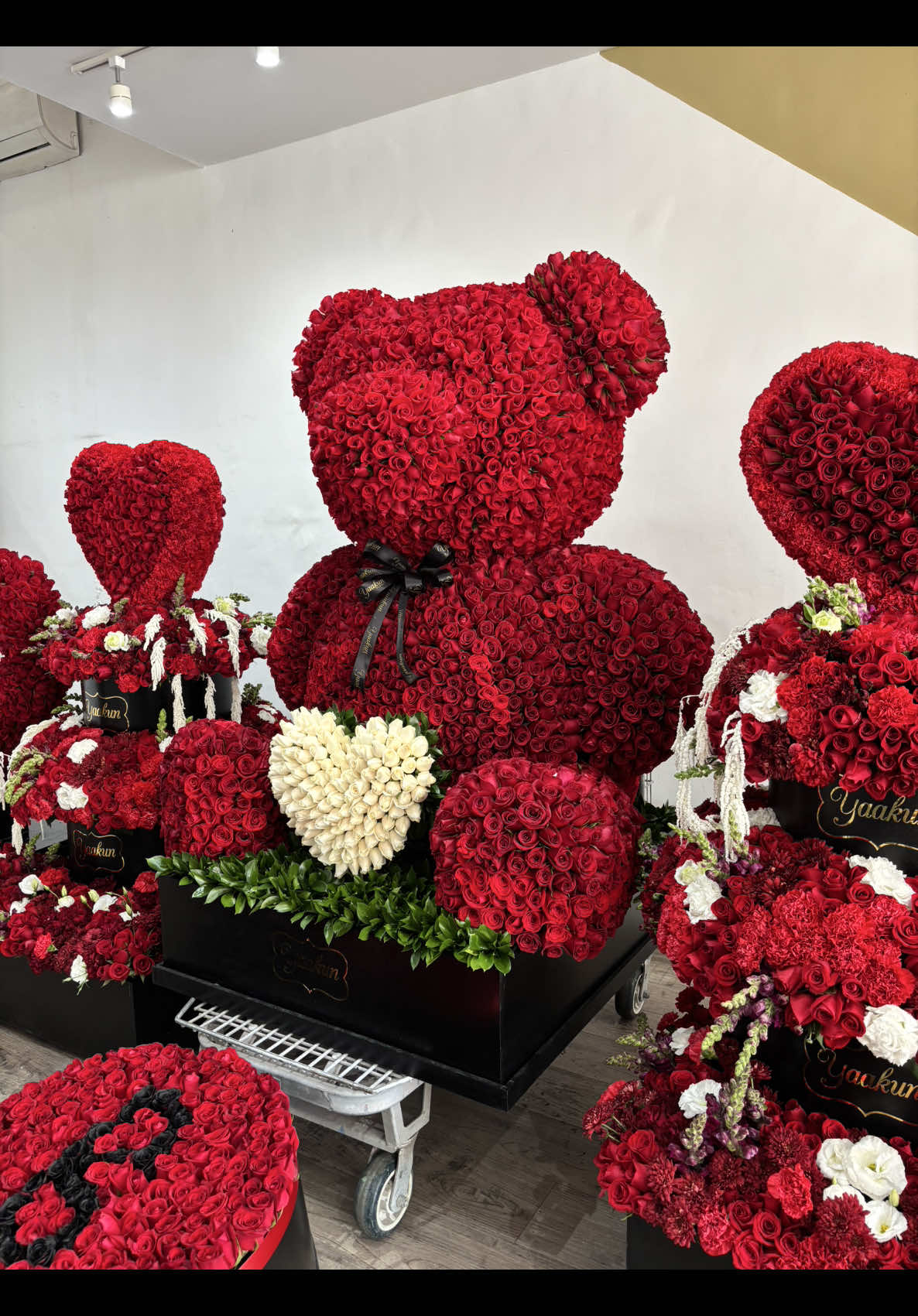 @Yaakun Flores