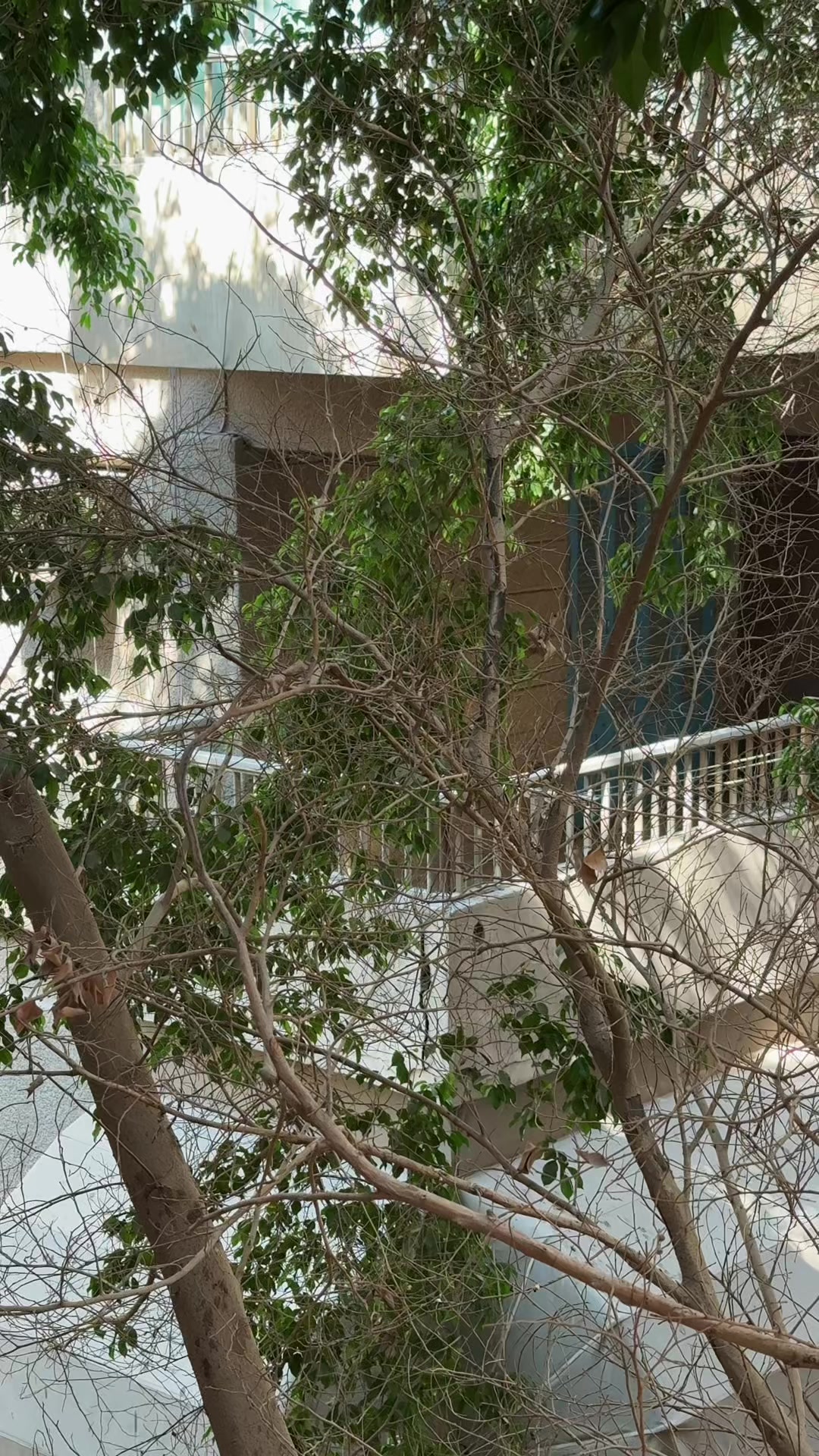 @Hana Ekramy | هَنا إكرامي