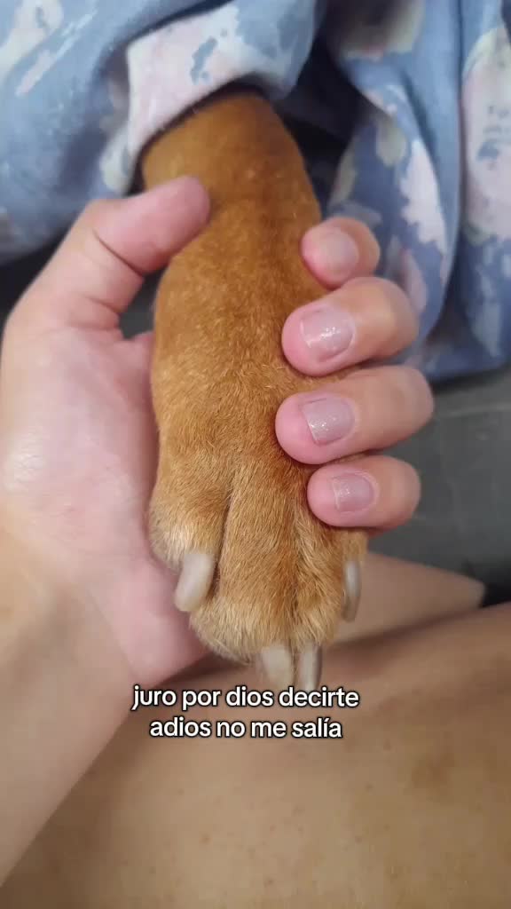 @𝓜𝓪𝓻𝓲𝓪