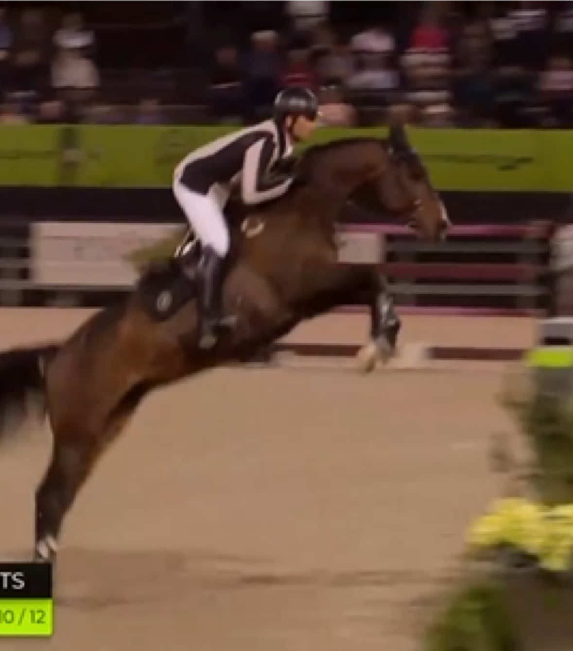 @Major League Show Jumping