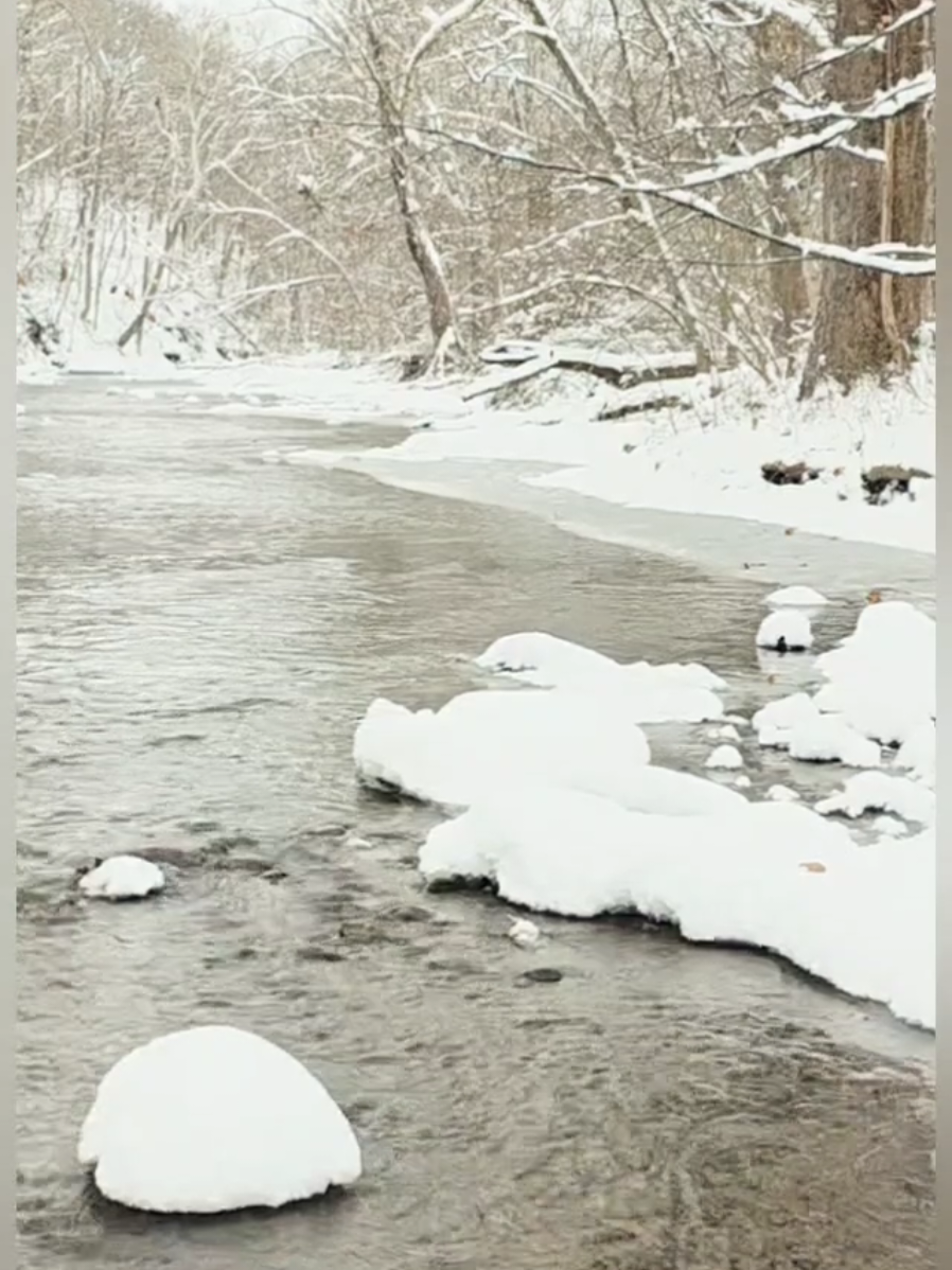 @PA Creek Walker