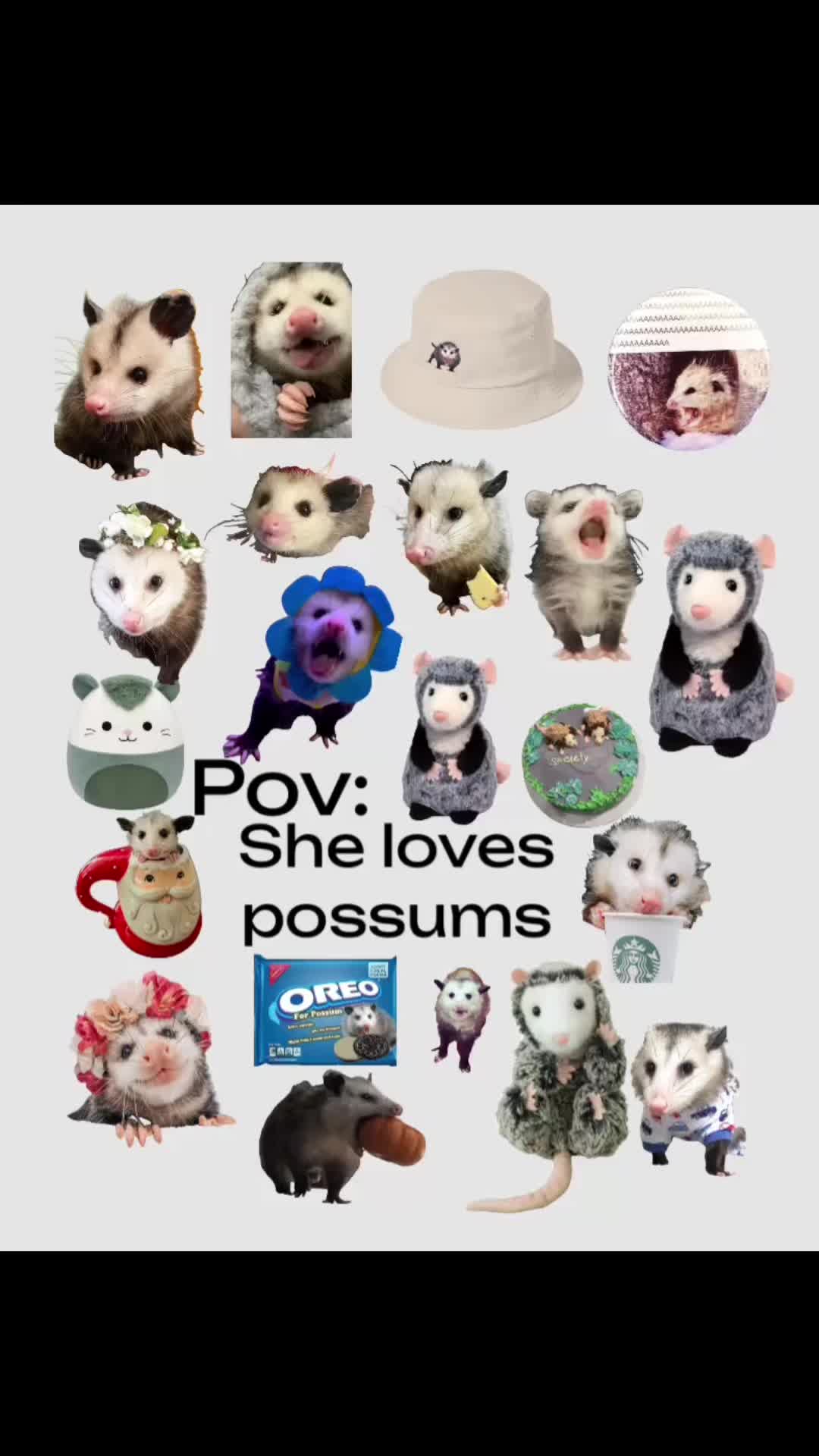 @🧸𝐌𝐚𝐲𝐚🎧.🦢𝐀𝐲𝐥𝐚🤍
