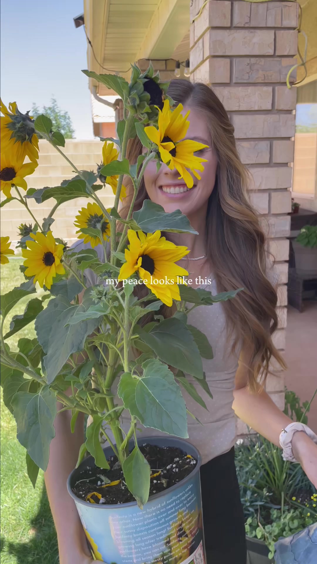 @nikkiplantsthings