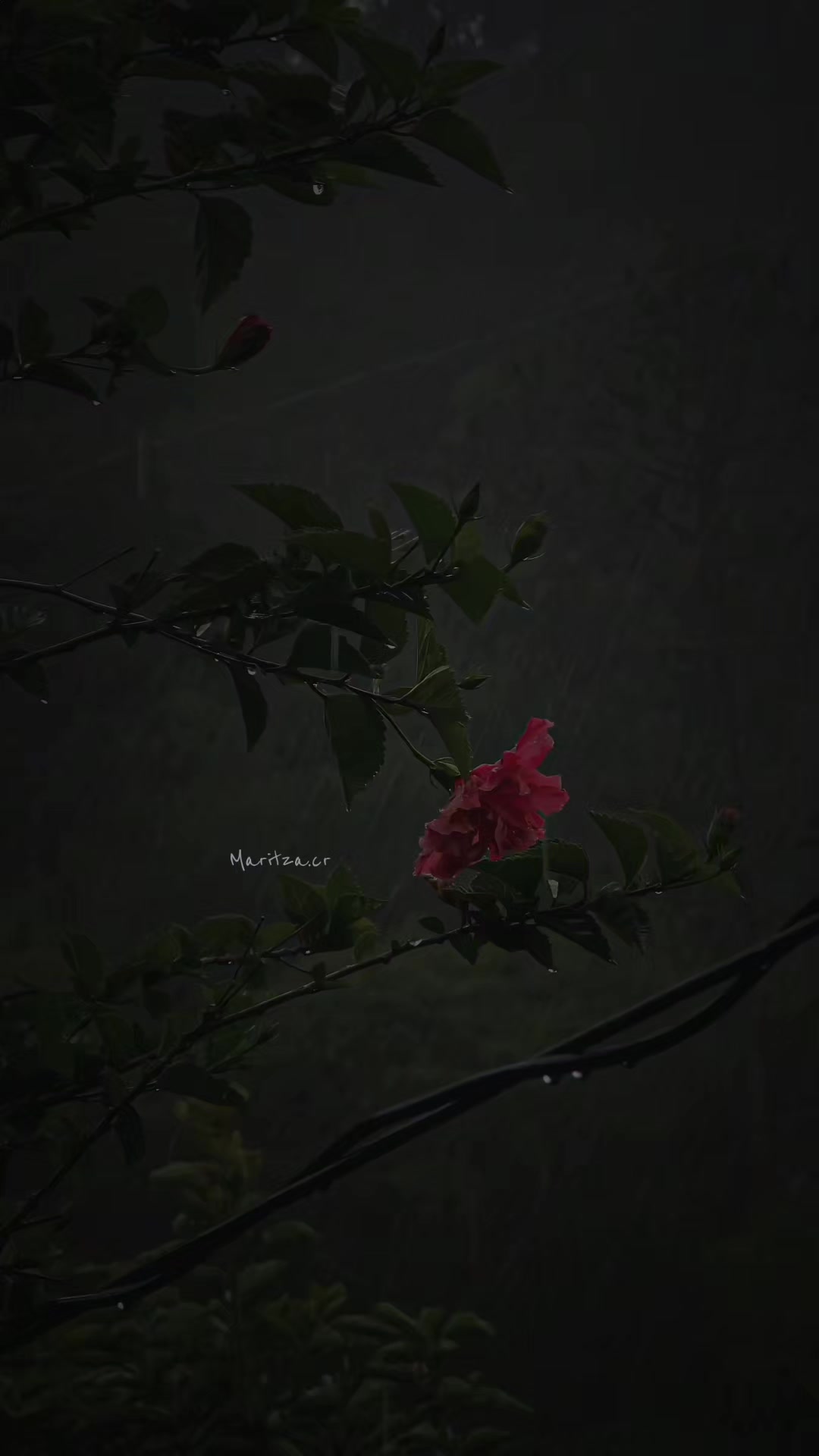 @𝕄𝕒𝕣𝕚𝕥𝕫𝕒.𝕔𝕣