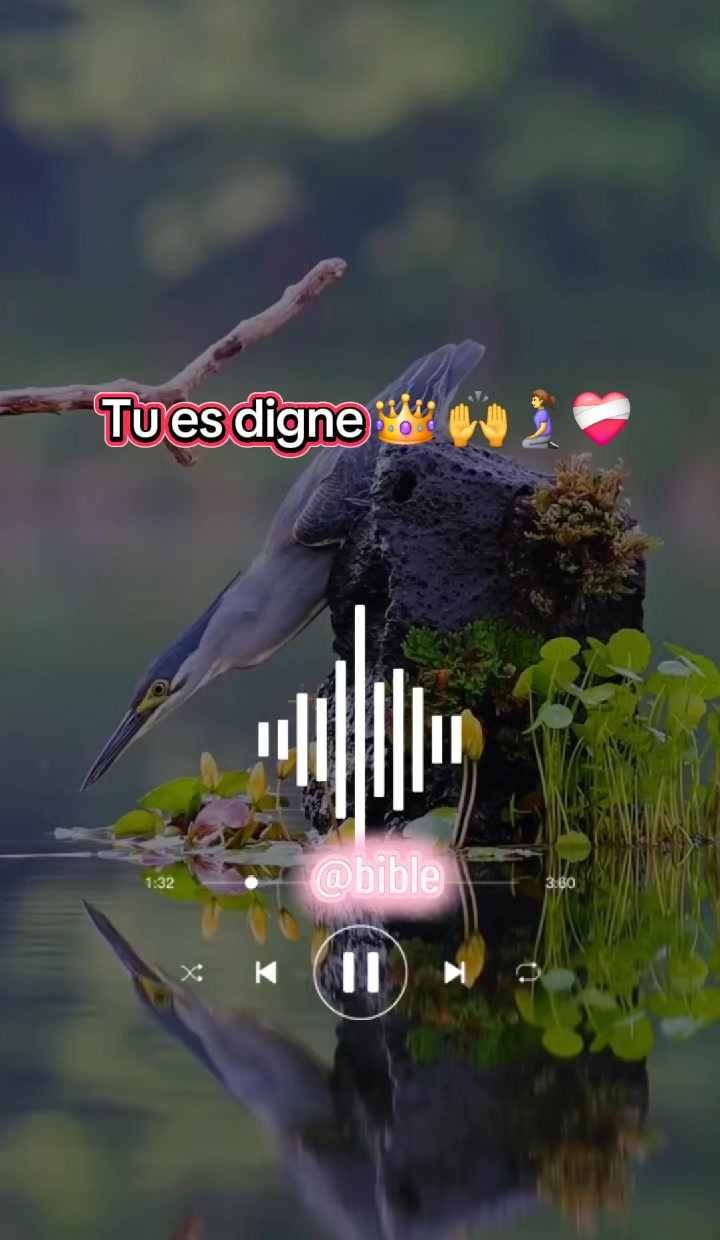 @☦️ Bible th&eacute;matique ⛪️