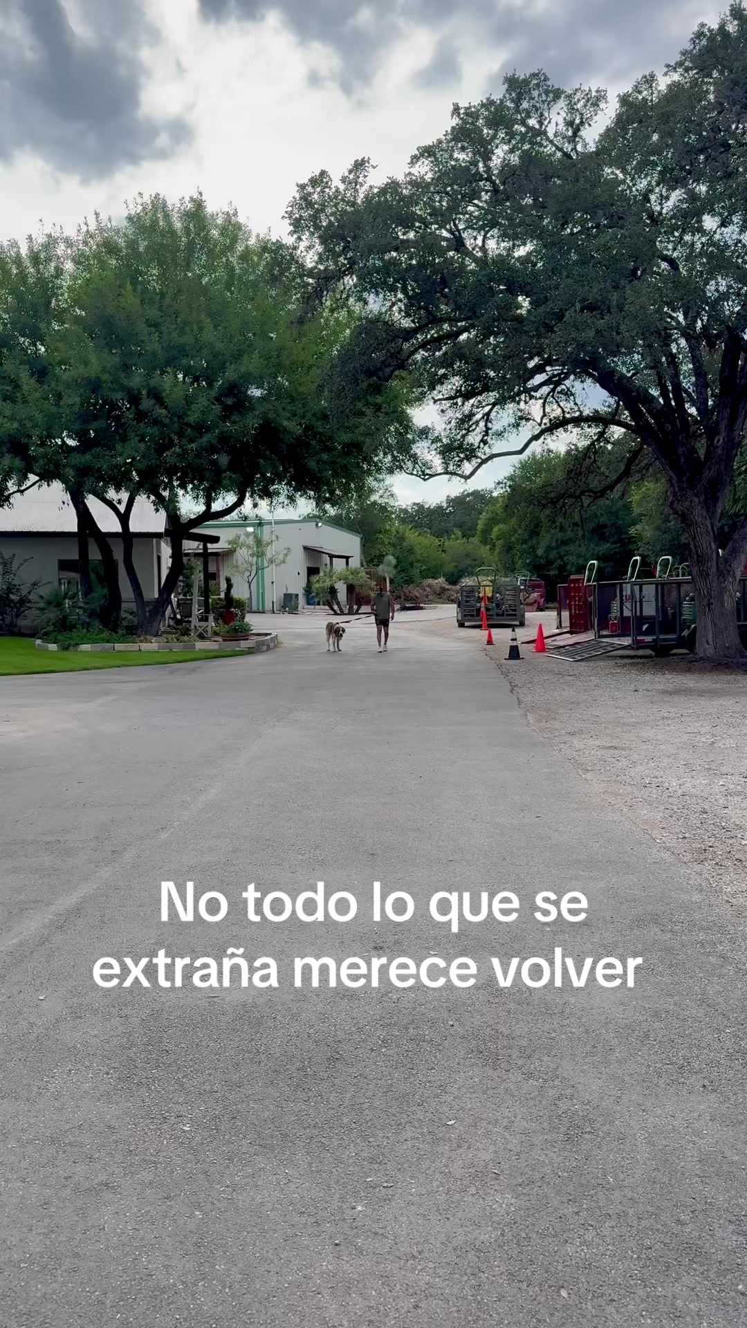 @Roy Maldonado