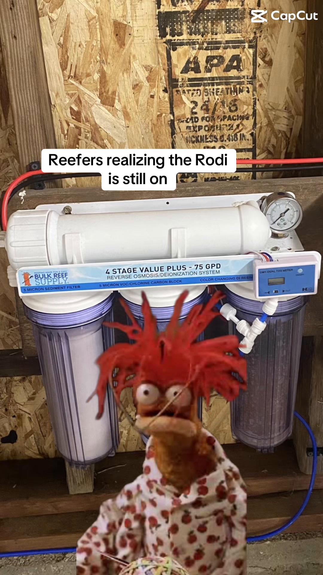 @ReefTok