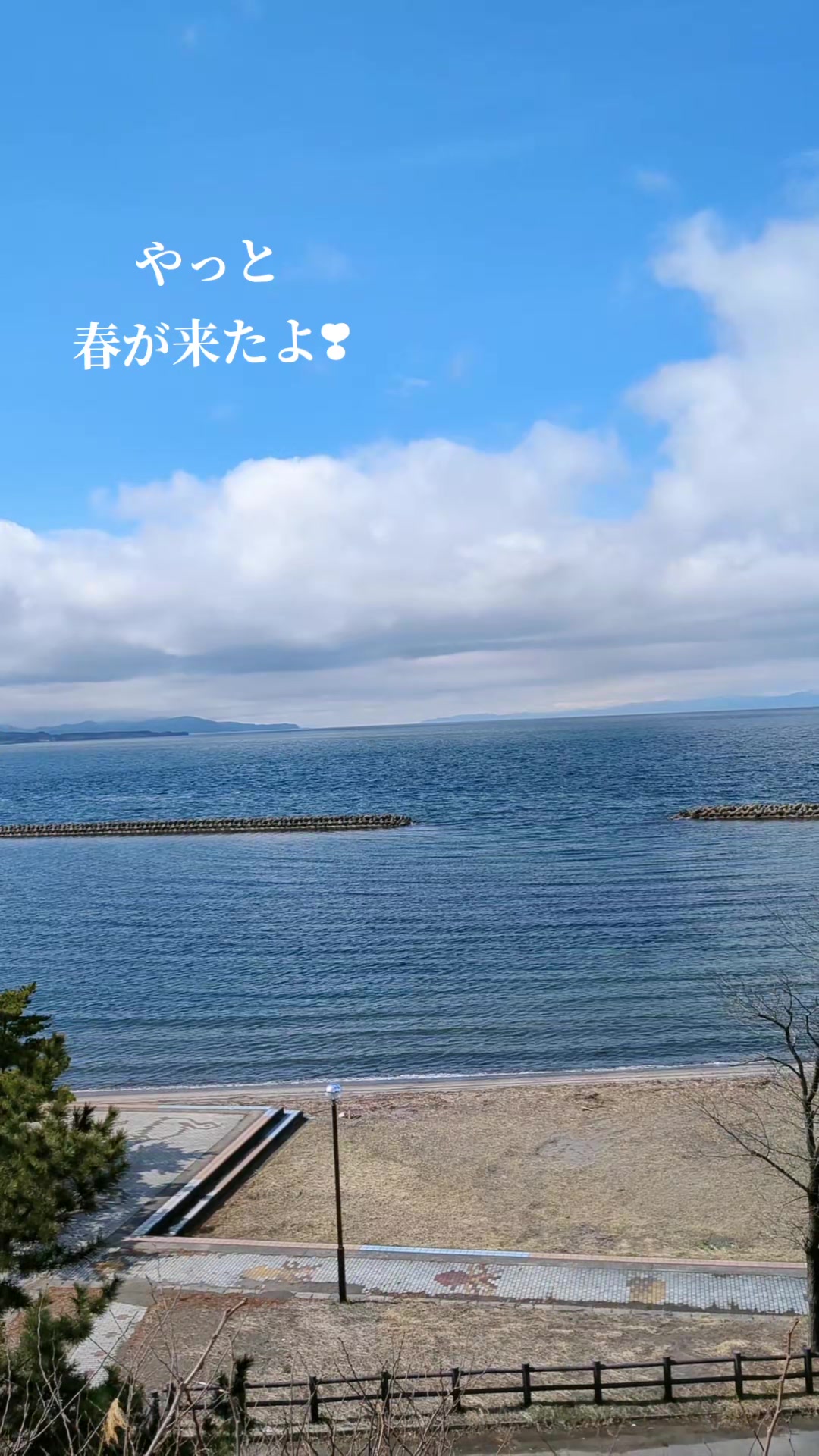 @さなちゃん☘
