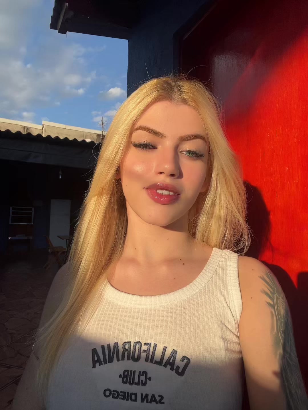 @laviniaalopes