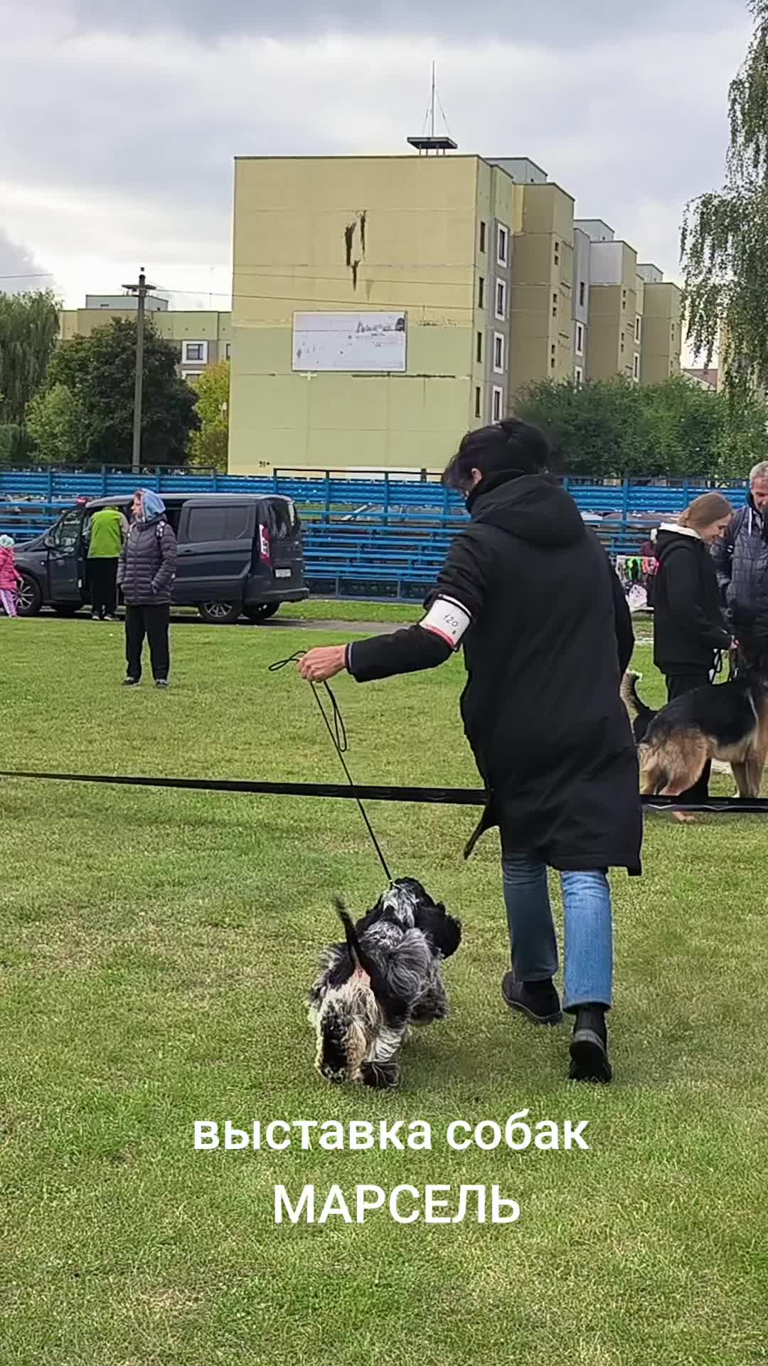 @Петровна