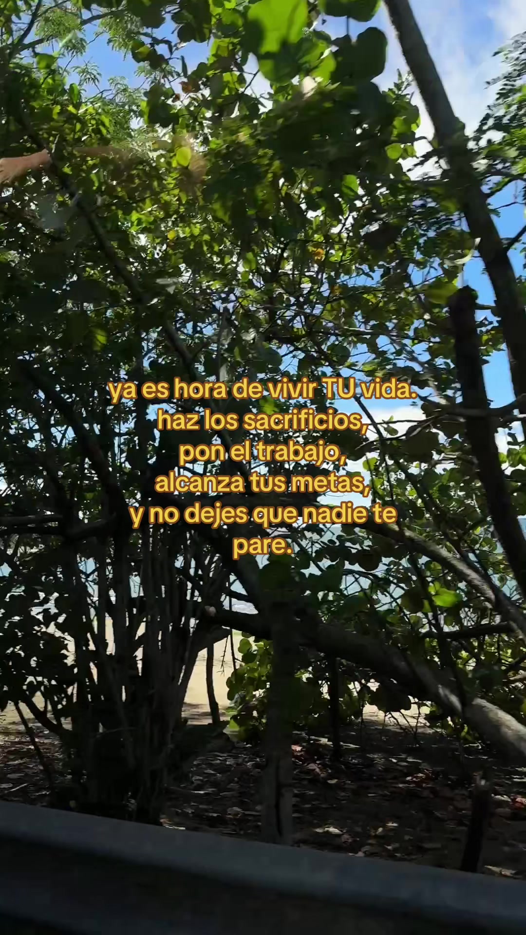 @kai