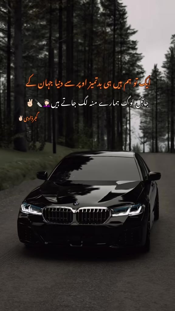 @گجرذادی✌🏻