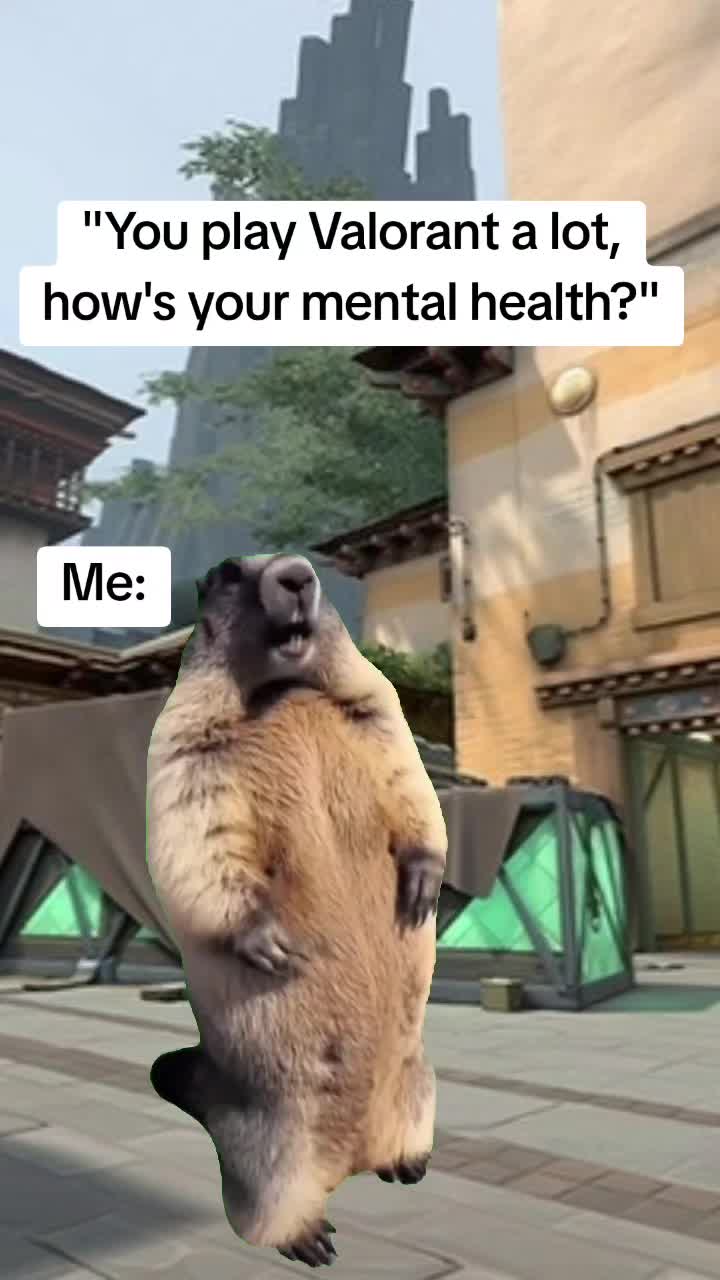 @Scoobydouby