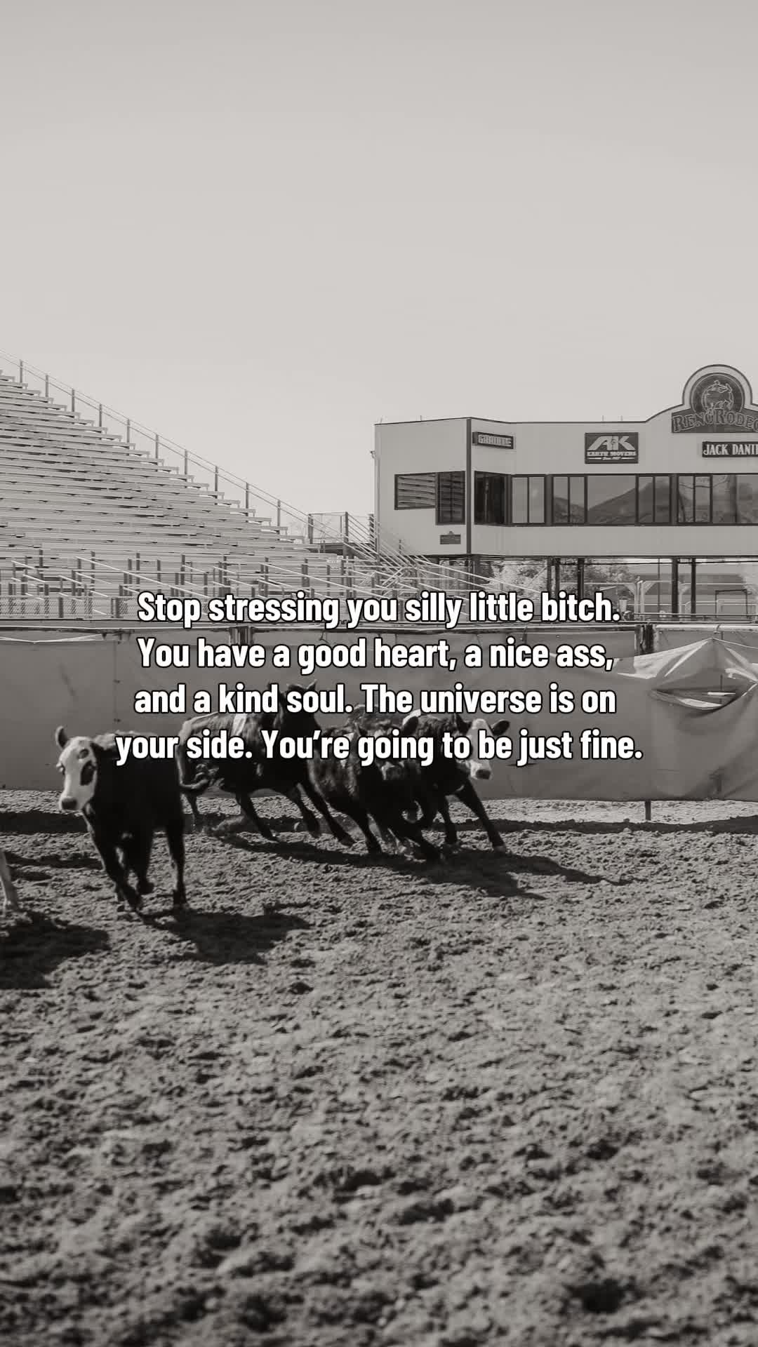 @Amanda Rabe