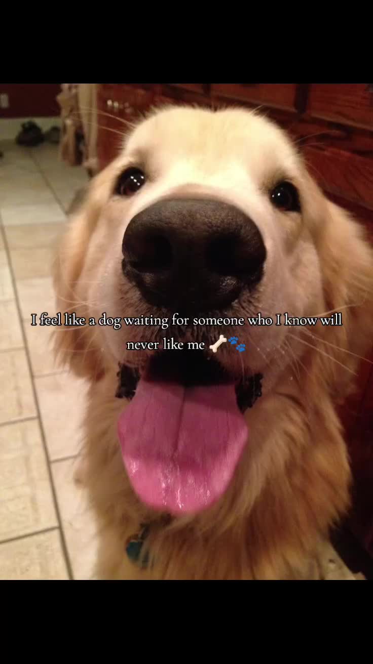 @Just Leo.🧷🐾